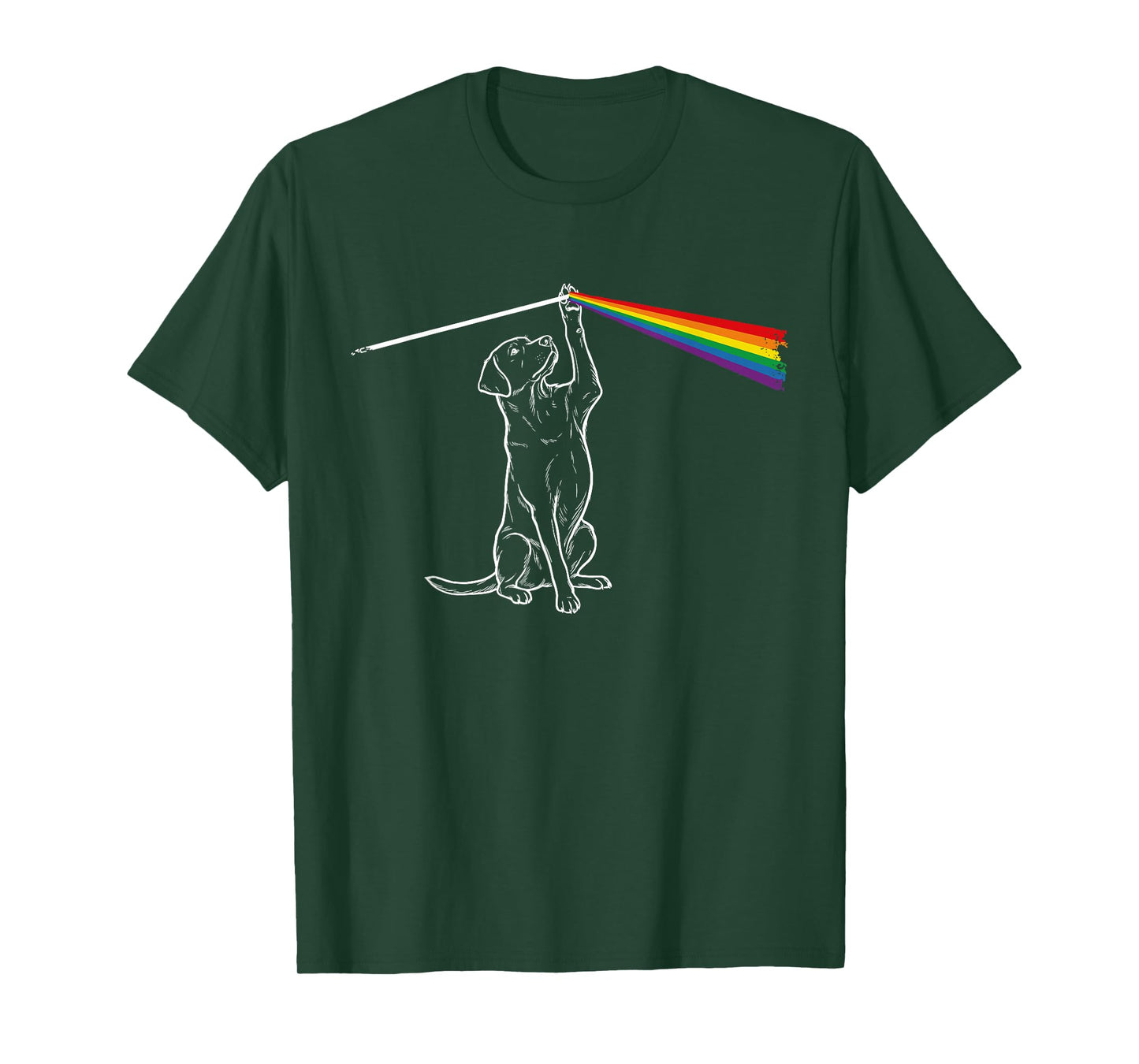 Playing with Light Dog Rainbow Men Kids Women T-Shirt