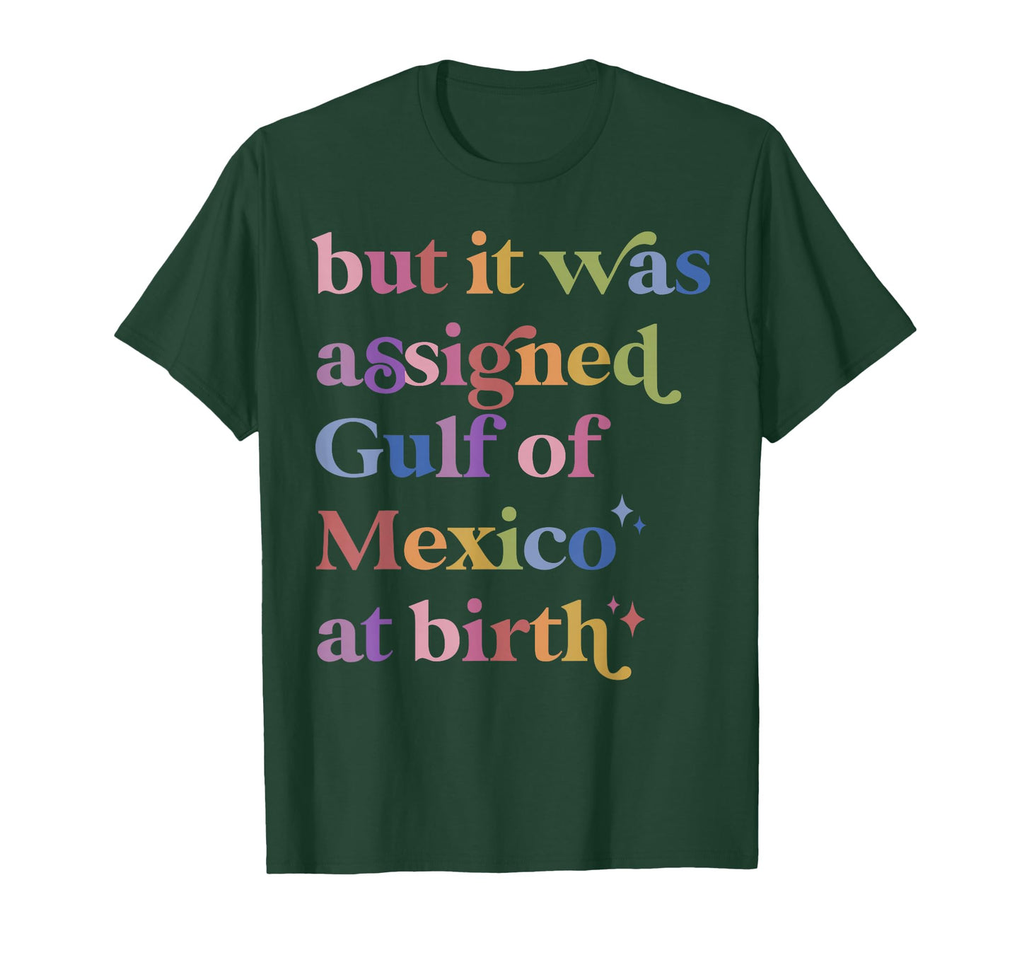 But It Was Assigned Gulf of Mexico at Birth T-Shirt