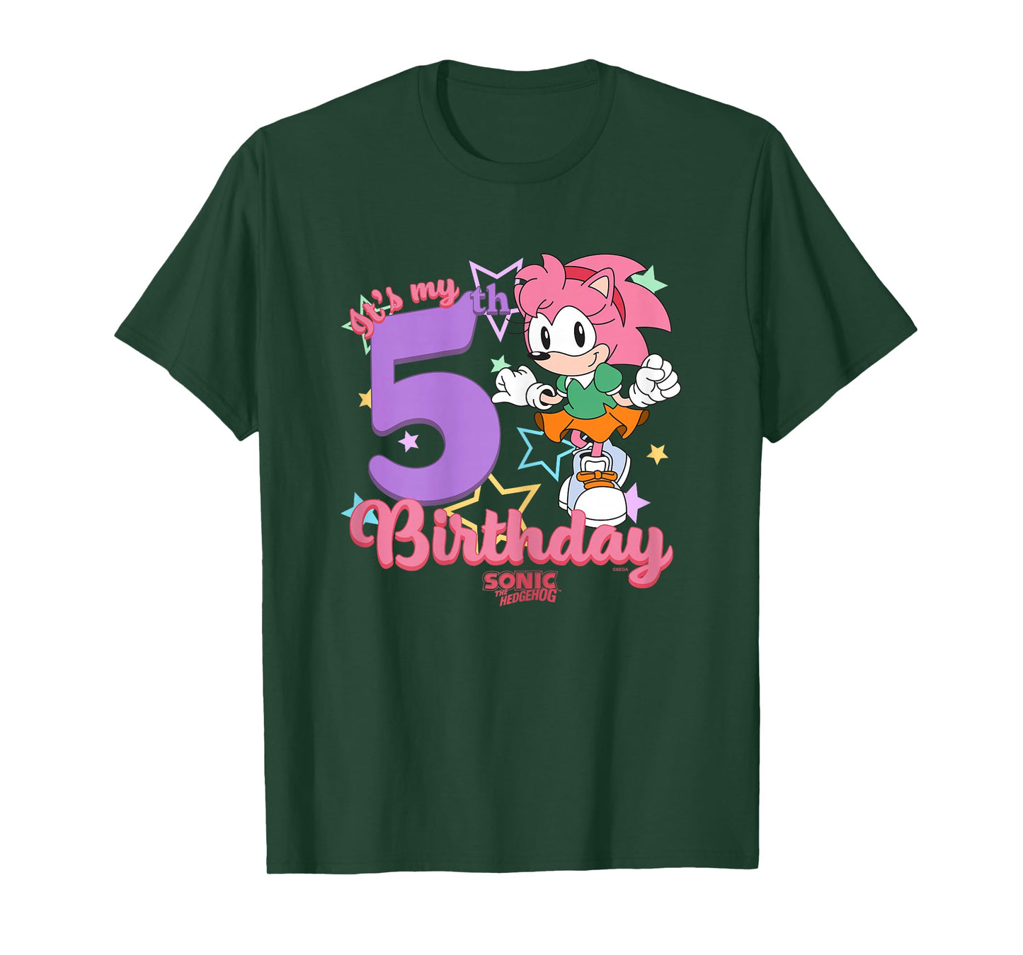 Sonic The Hedgehog It's My 5th Birthday Amy Rose Vintage Art T-Shirt