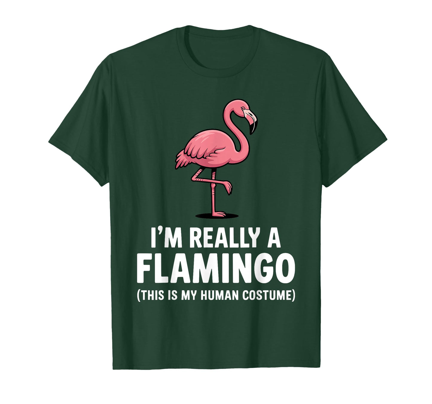 Funny Flamingo Design for Men Women Kids Bird Pink Flamingo T-Shirt