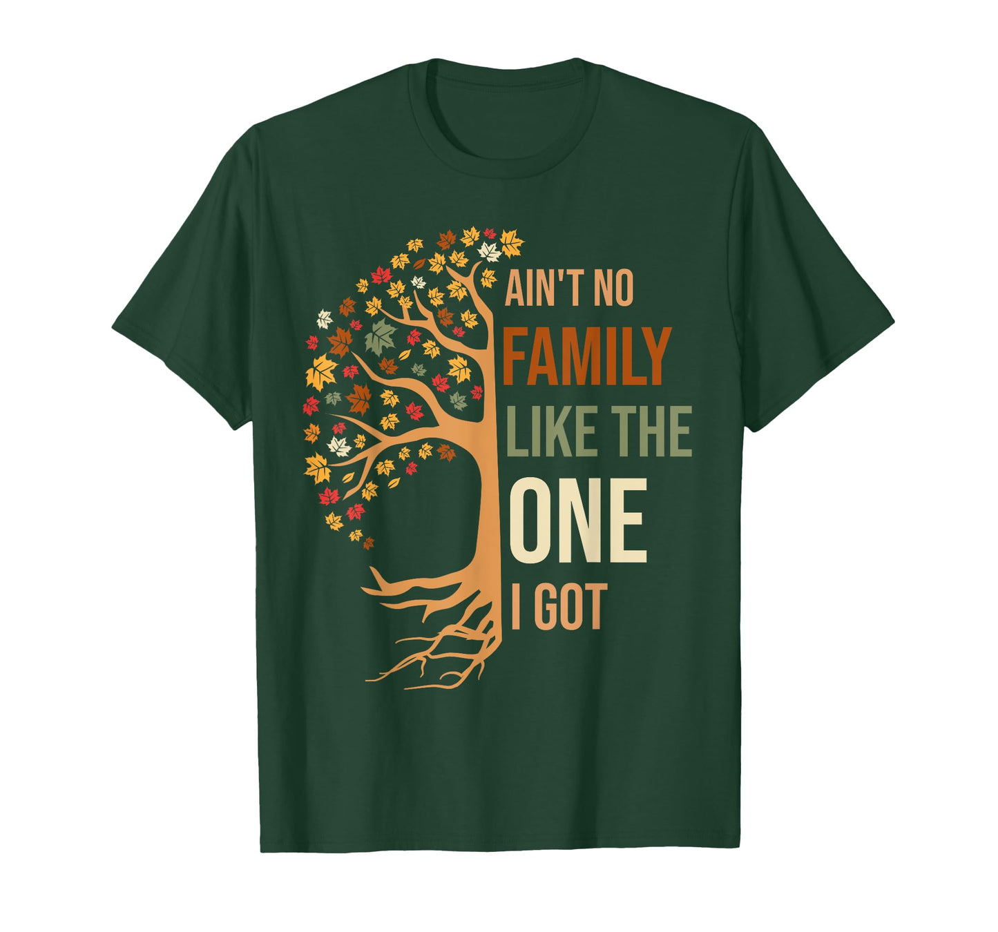 Ain't No Family Like The One I Got Funny Family Reunion 2024 T-Shirt