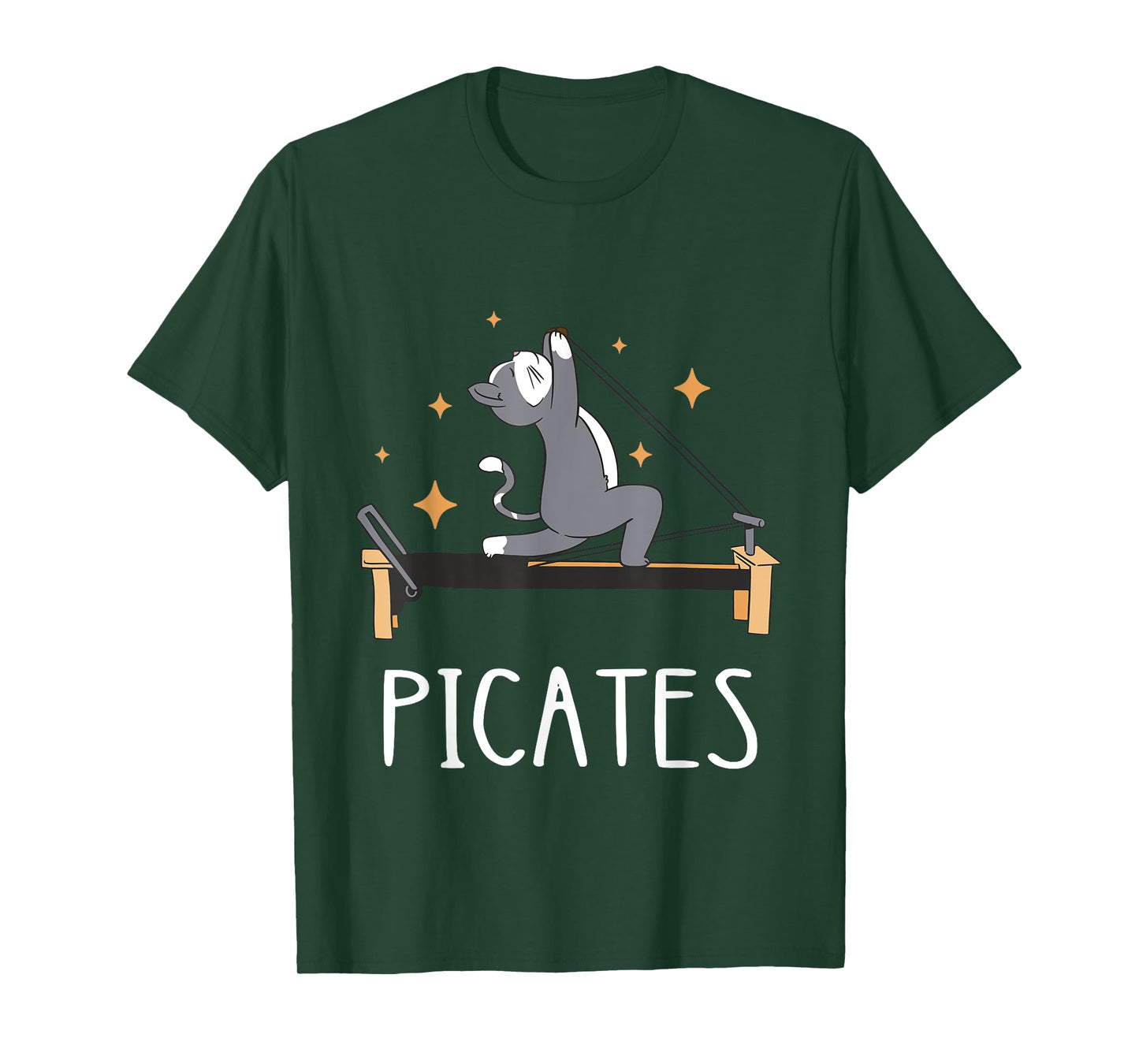 Pilates Cat Pilates Workout Pilates Fitness Instructor T-Shirt for Men Women Kids