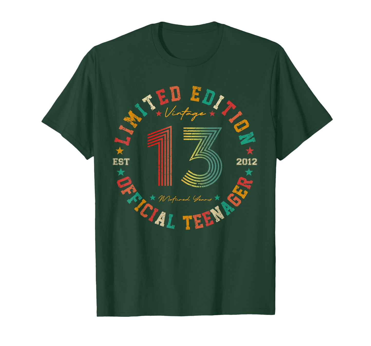 Official Teenager 13 Year Old Gifts Vintage 13th Birthday T-Shirt