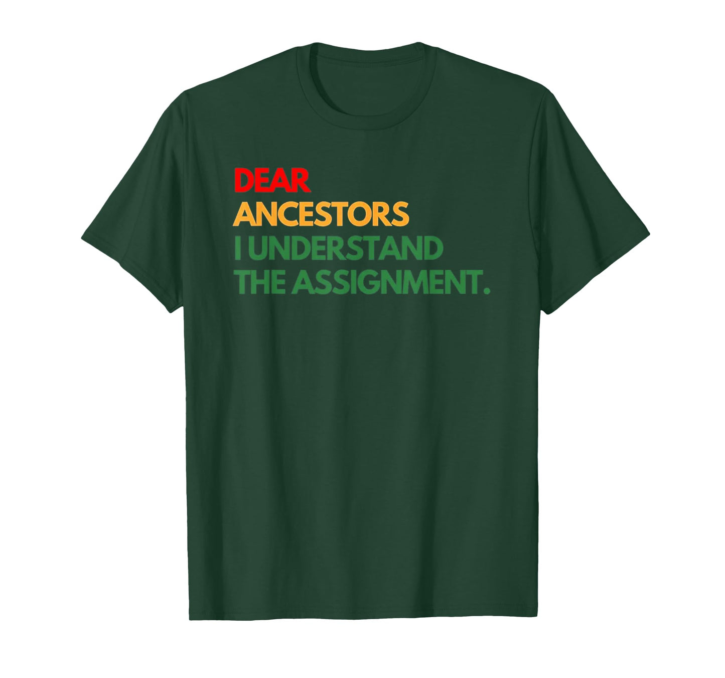 Dear Ancestors I Understand The Assignment T-Shirt
