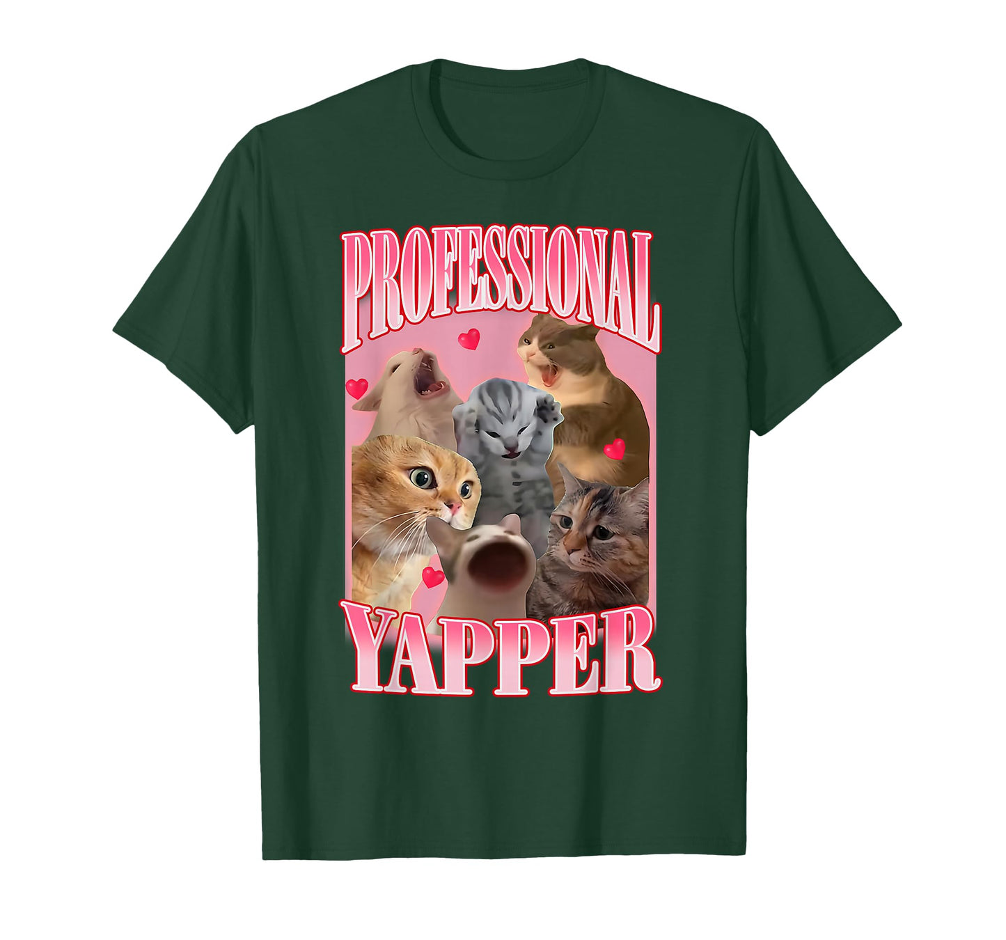 Professional Yapper Cat Funny Oddly Specific Dank Meme T-Shirt