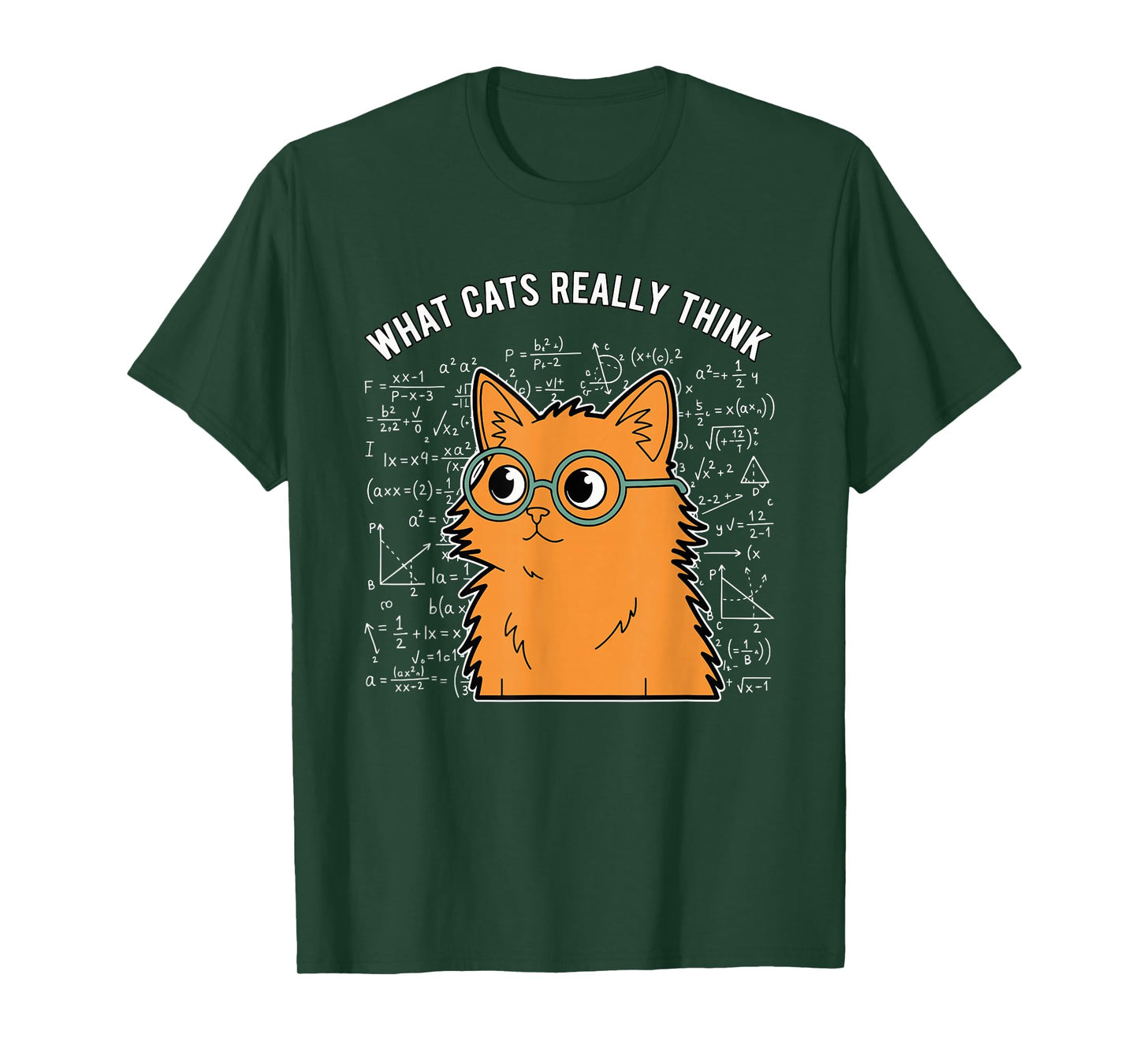 What Cats Really Think Funny Nerdy Math Cat Equations T-Shirt