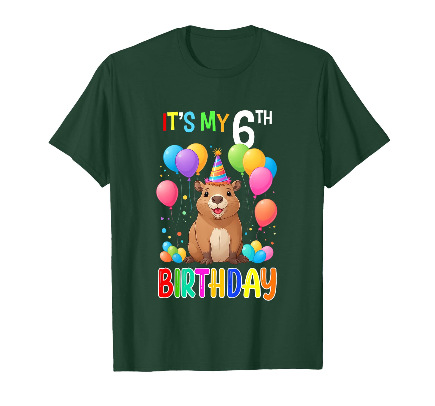 6th Birthday Shirt Funny Capybara 6 Years Capybara Birthday T-Shirt