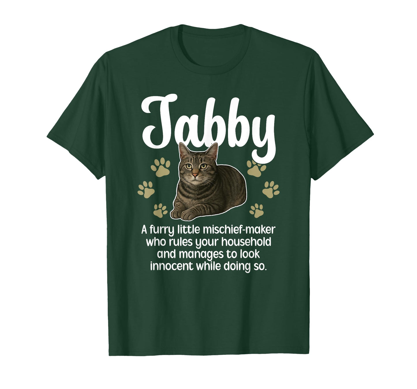 Funny Gray Tabby Cat Owner Grey Tabby Cat Lover T-Shirt