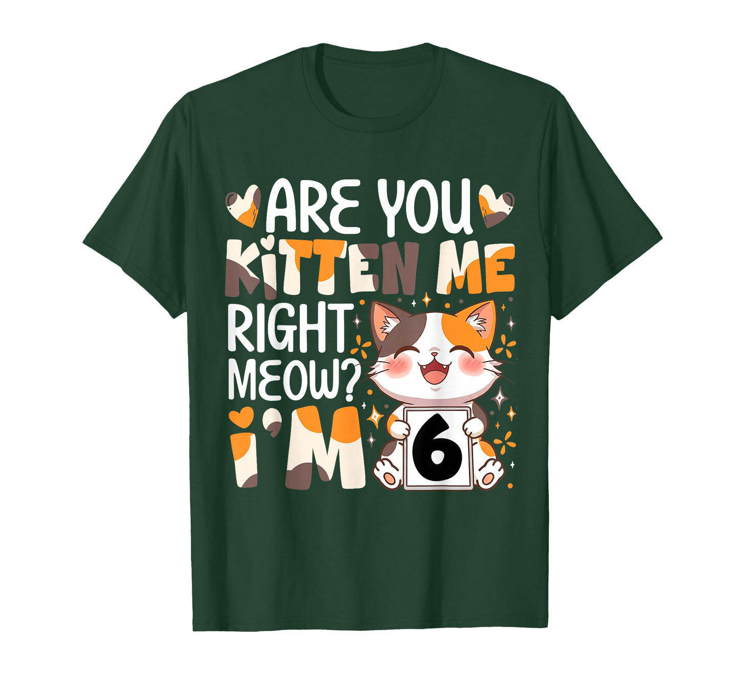 6th Birthday 6 Year Old Kitten Me Right Meow Cat Bday Girl T-Shirt
