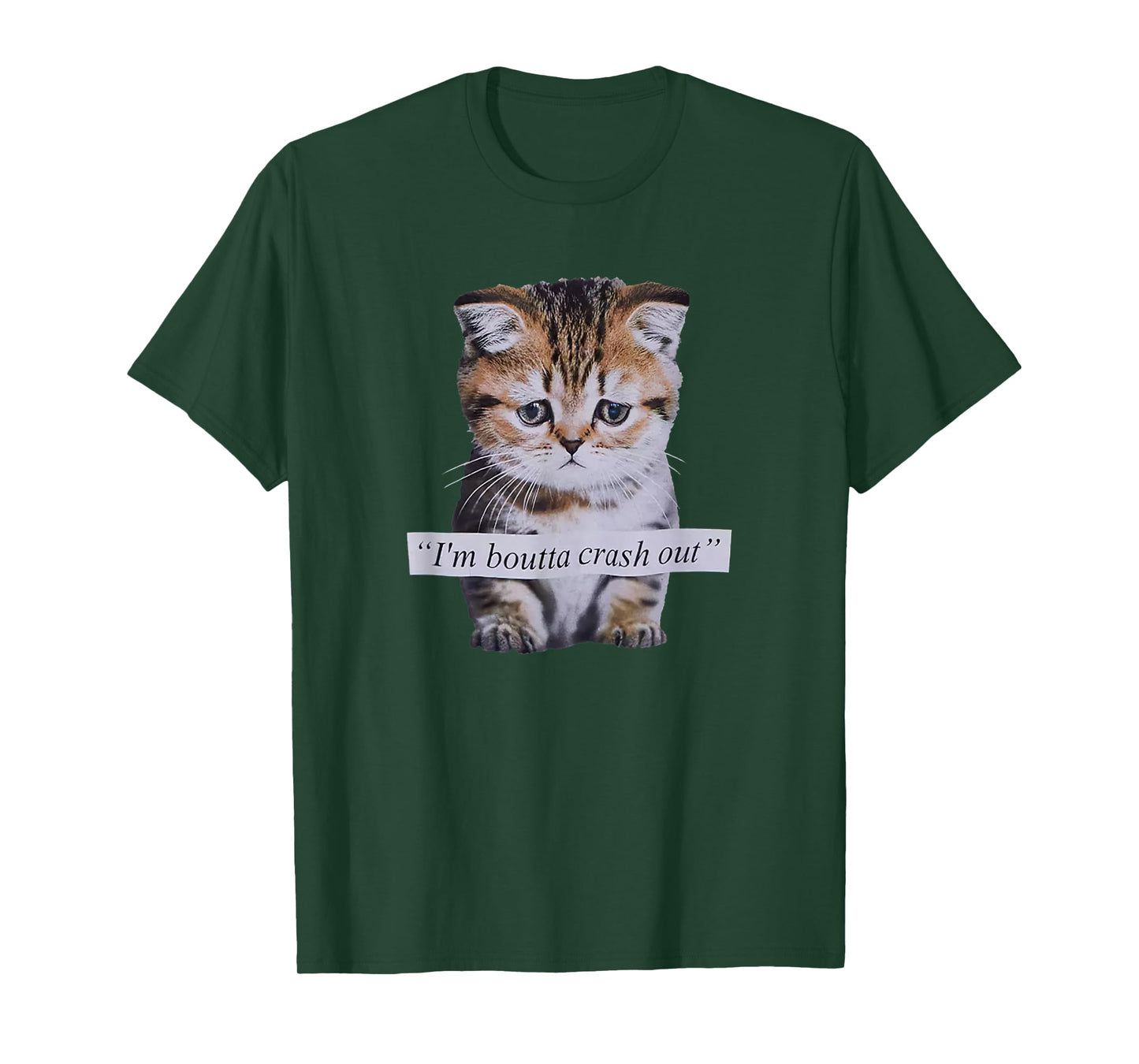 I'm Boutta Crash Out Cat Funny Meme Cat Pet Lover T-Shirt
