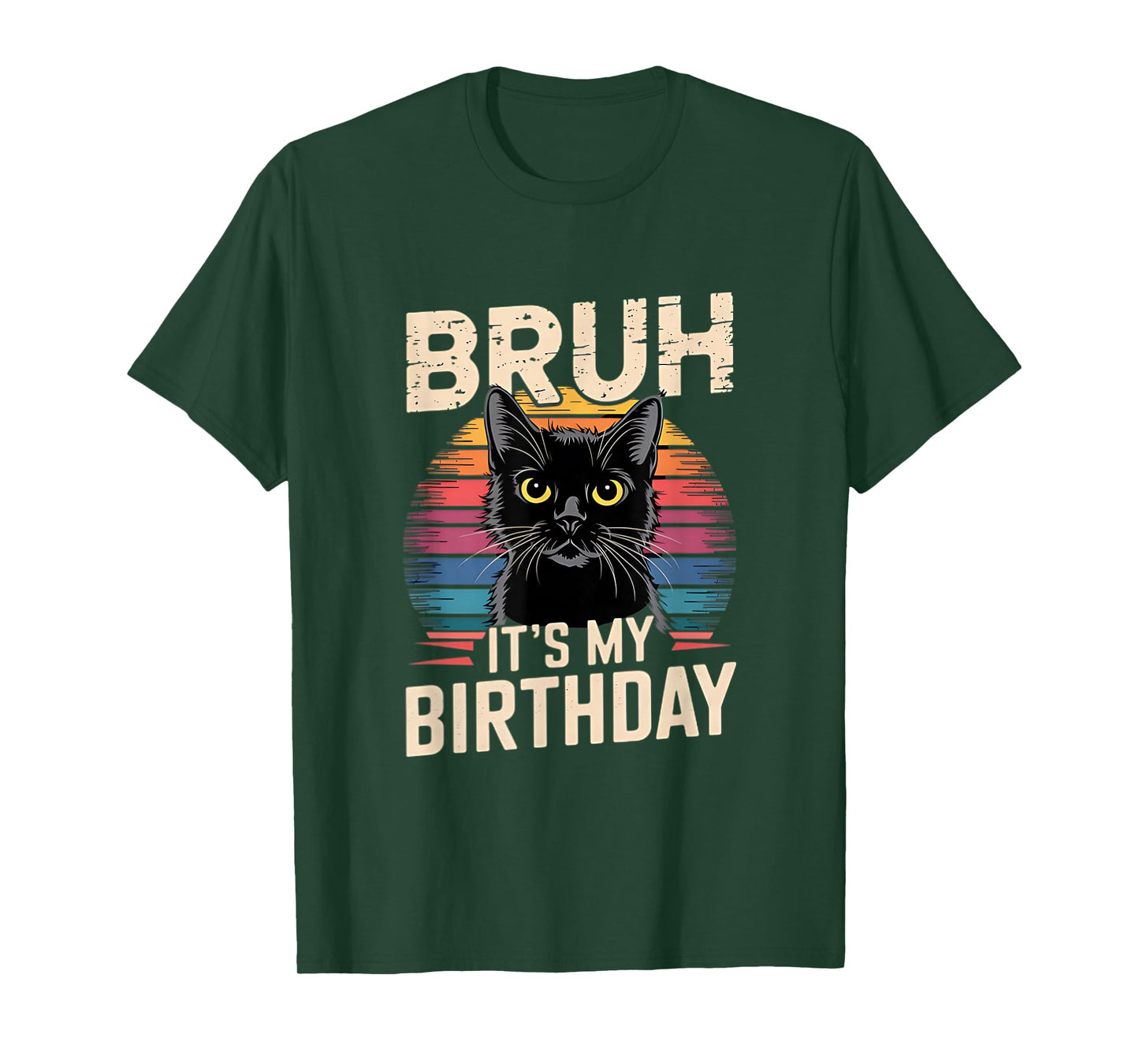 Bruh It's My Birthday Cat Retro Sunset T-Shirt