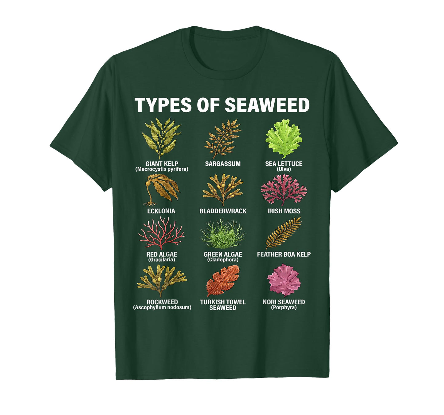 Types of Seaweed, Seaweed Species Chart, Marine Algae Types T-Shirt
