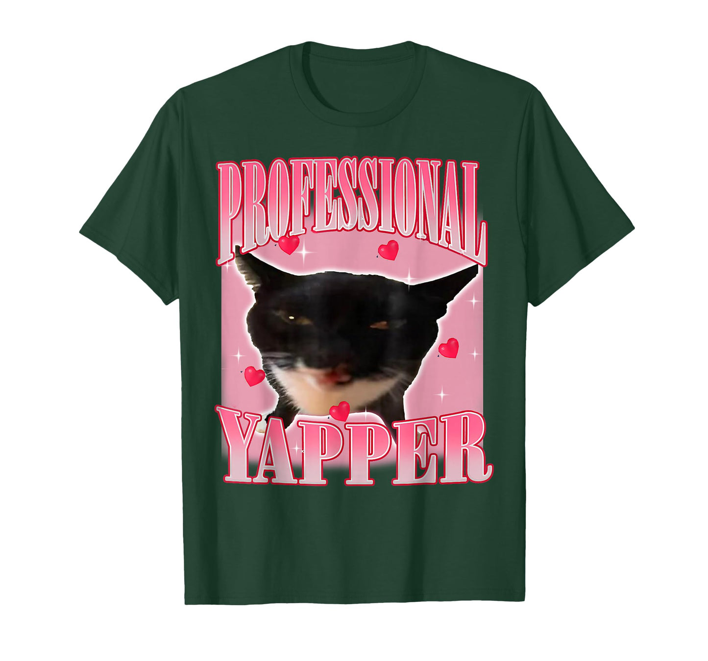 Professional Yapper Cat Funny Oddly Specific Dank Meme T-Shirt