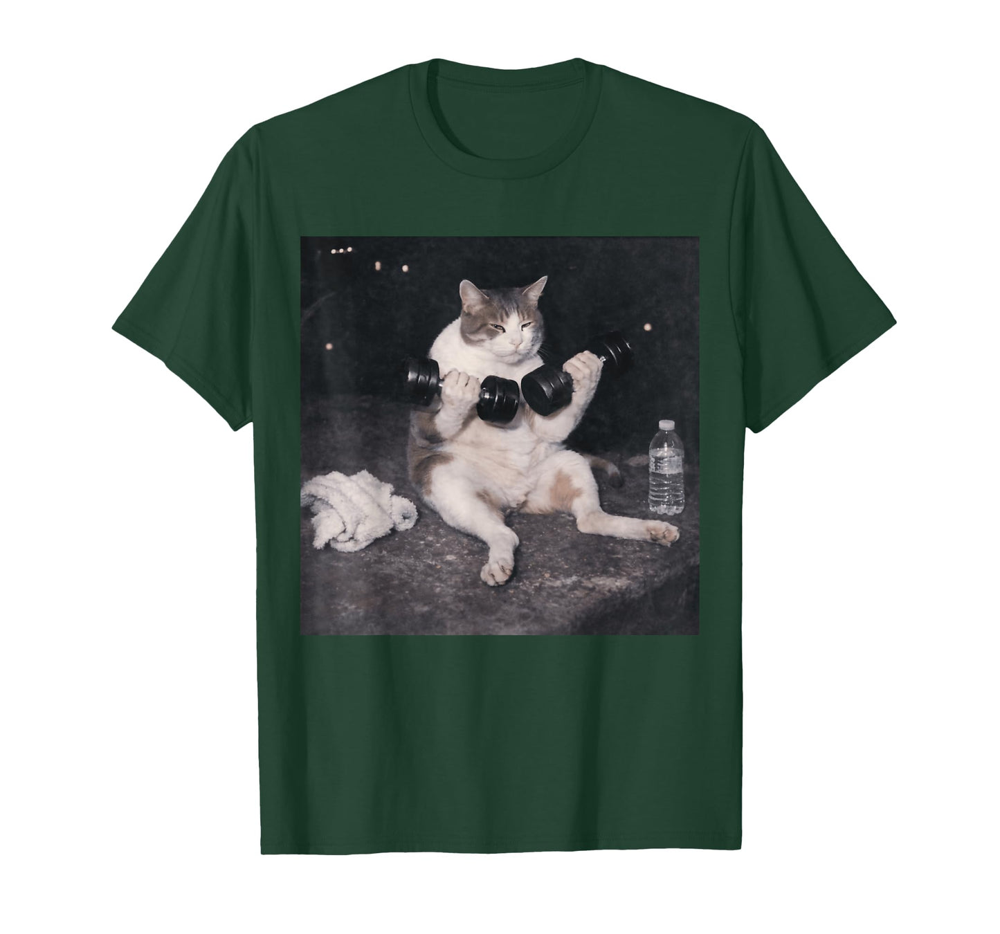 Funny Gym Cat Meme Vintage Weightlifting Workout Day Humor T-Shirt