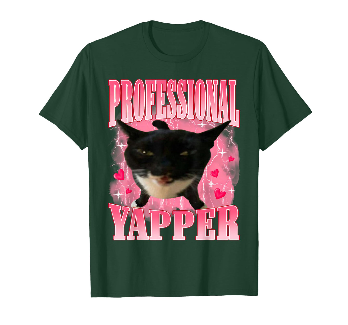 Professional Yapper Cat Funny Oddly Specific Dank Meme T-Shirt