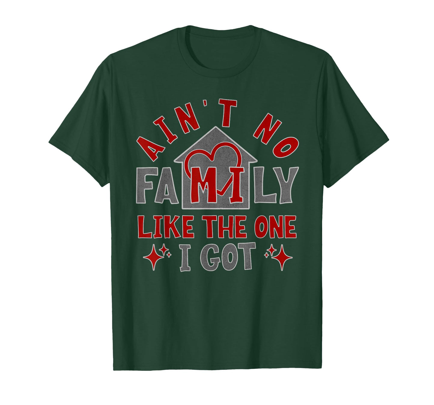 Ain't No Family Like The One I Got T-Shirt
