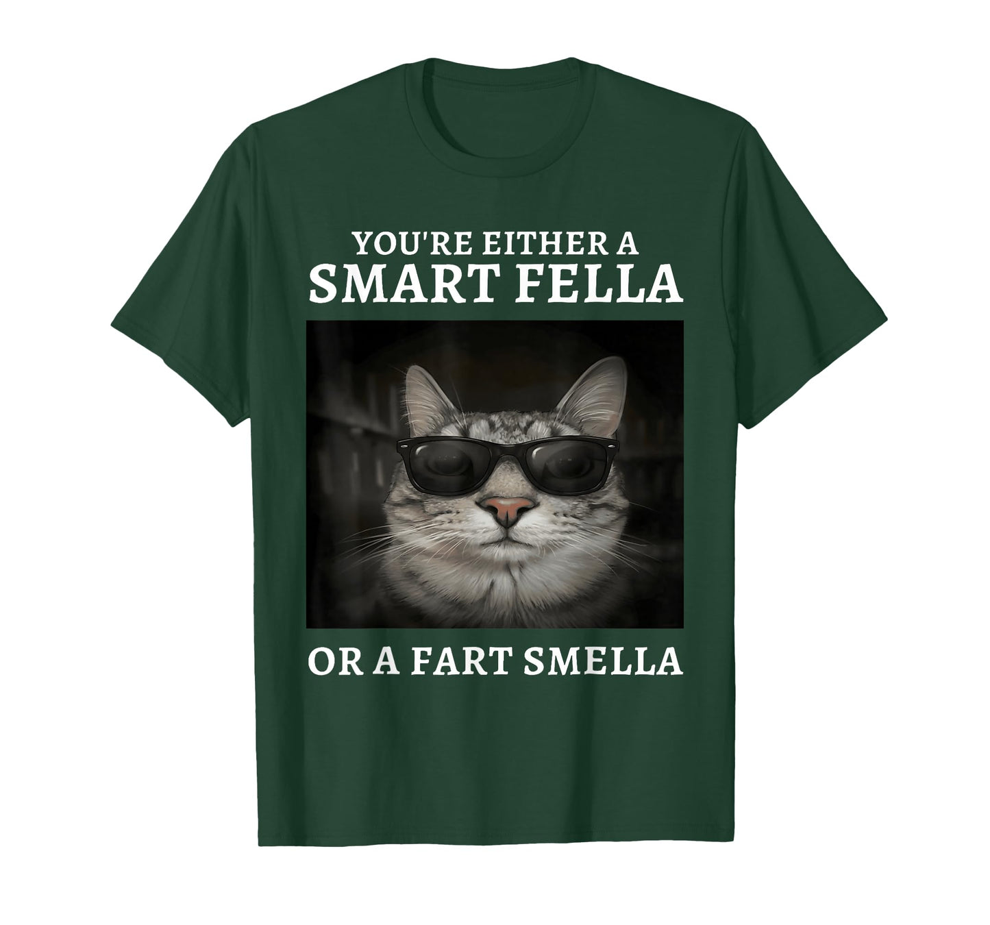 You're Either A Smart Fella Or A Fart Smella Funny Cat Meme T-Shirt