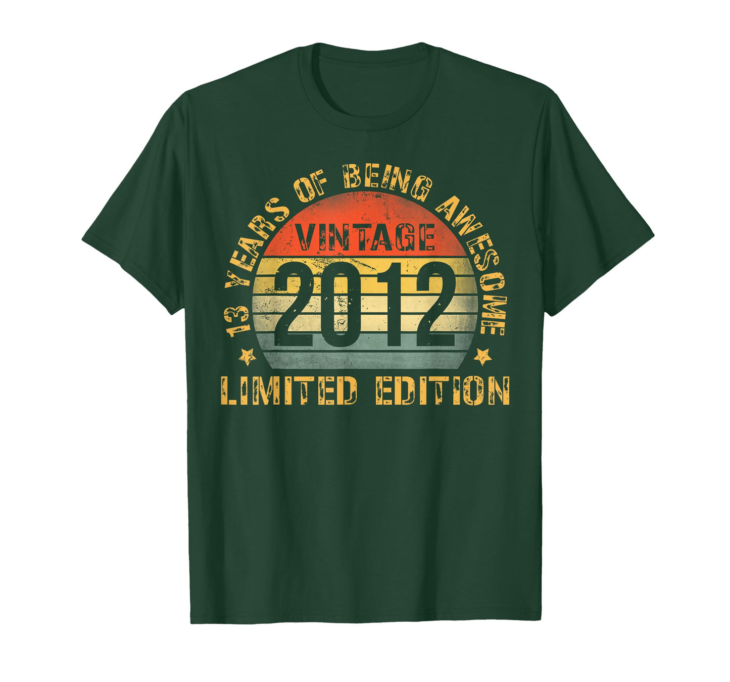 13 Year Old BDay Decorations Son Boy 13yr 2012 13th Birthday T-Shirt