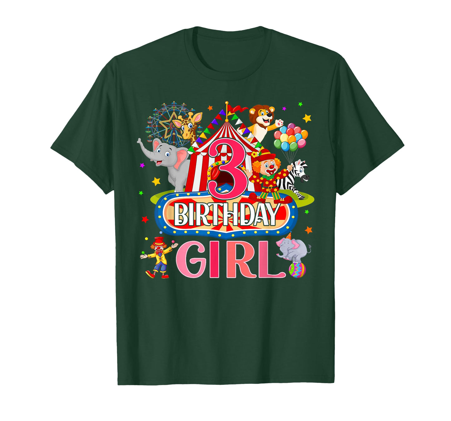 3rd Birthday For Girl Ringmaster Circus Carnival Family Bday T-Shirt