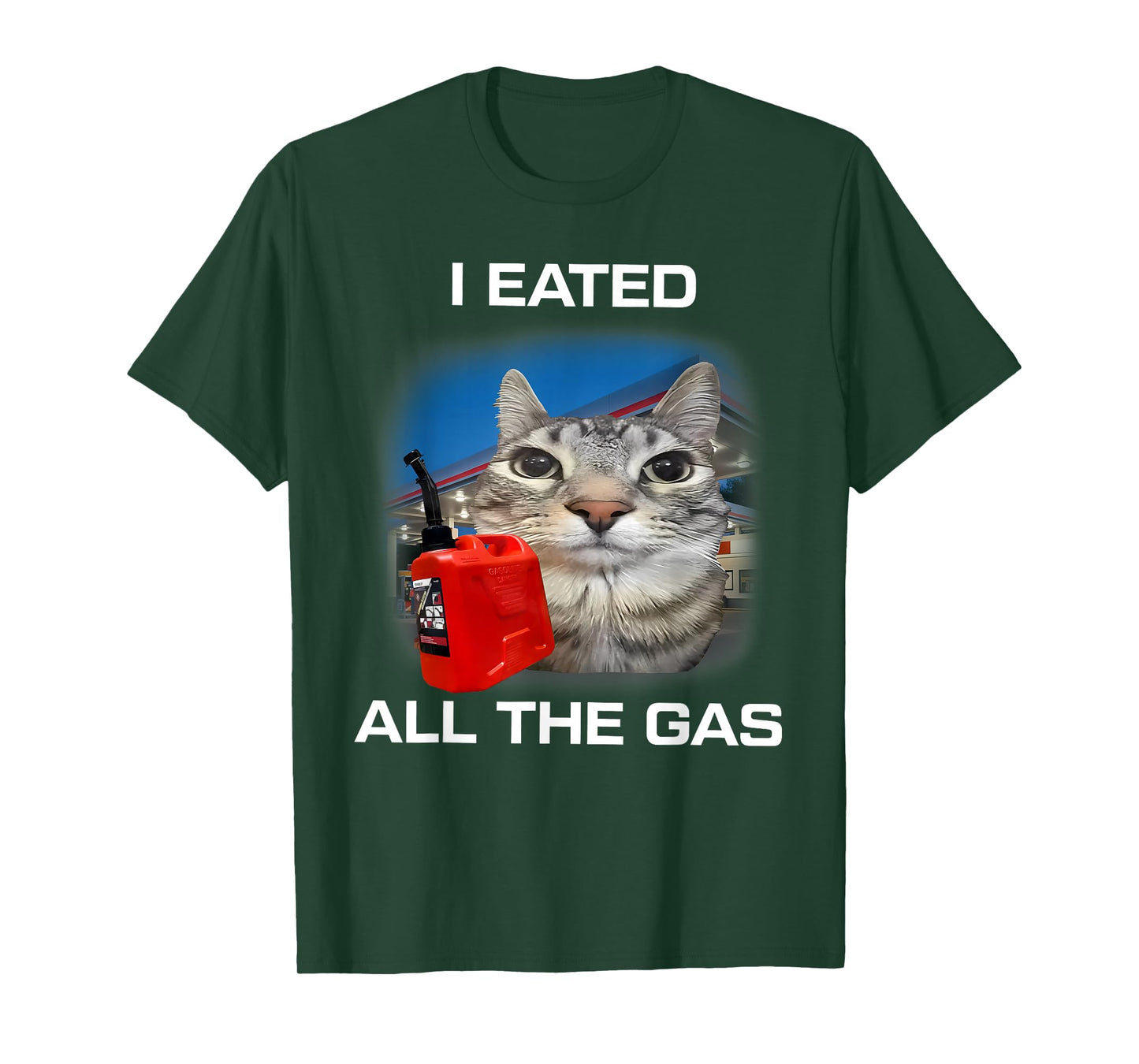 I Eated All The Gas Cat Meme Stupid Brainrot Humor T-Shirt