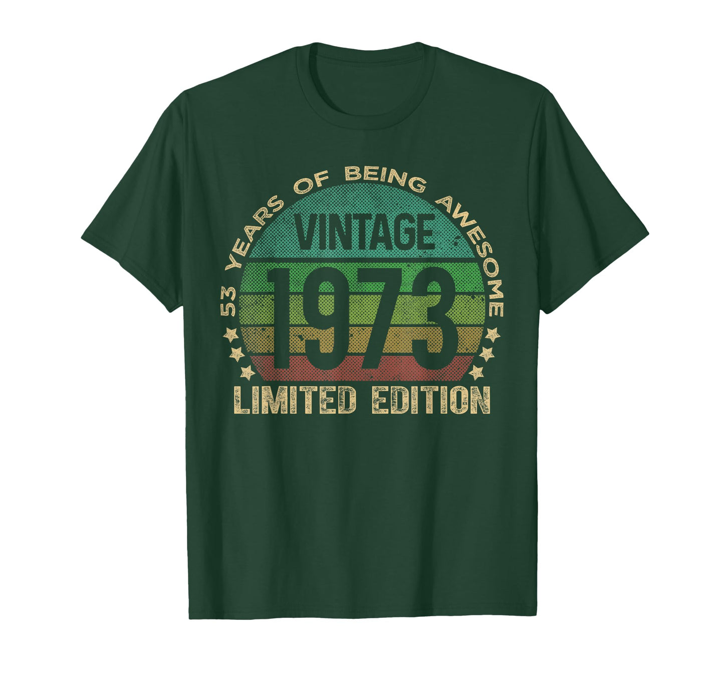 53 Year Old Gifts Vintage 1973 Limited Edition 53rd Birthday T-Shirt