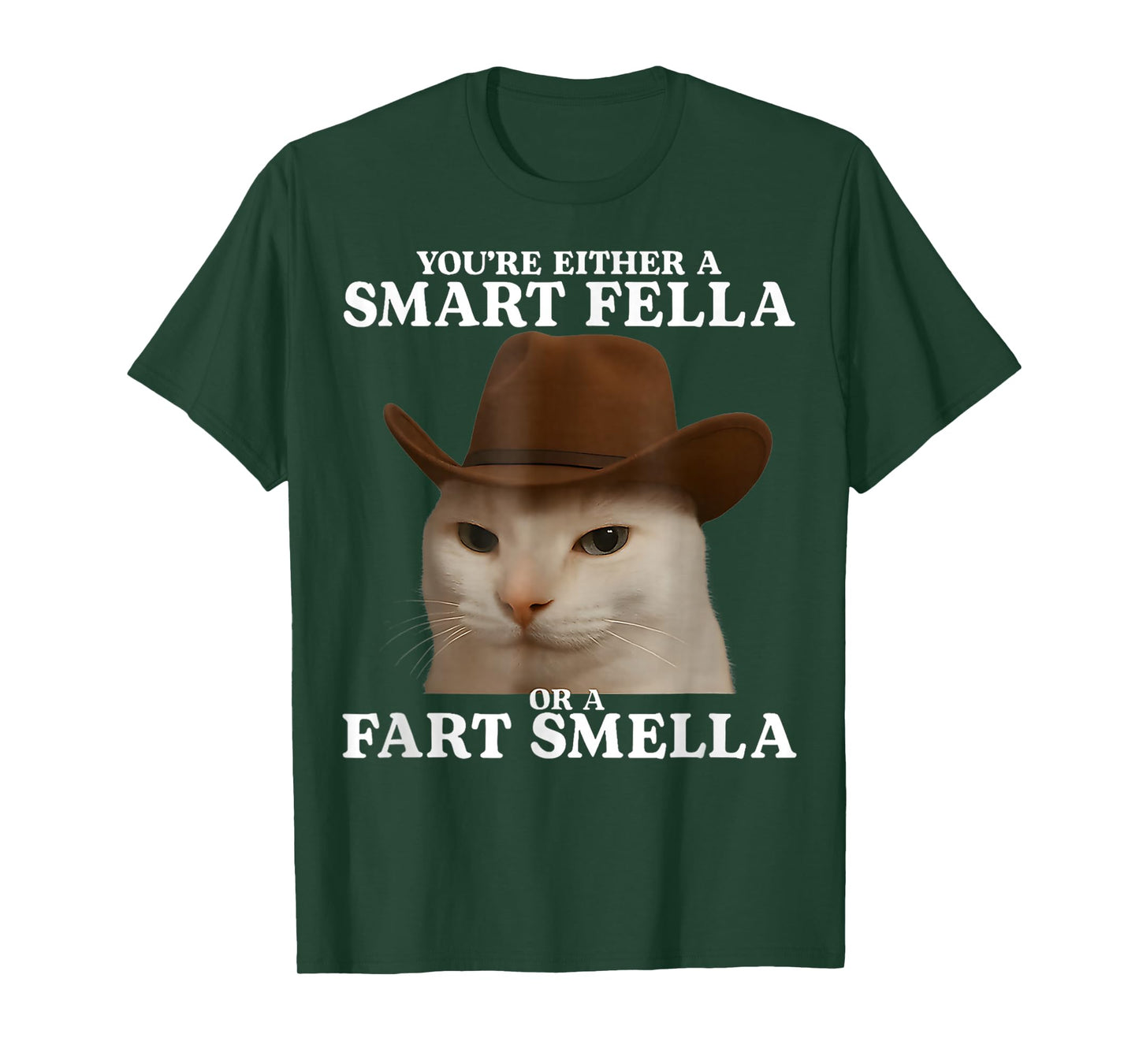 You're Either a Smart Fella or a Fart Smella Funny Cat Meme T-Shirt