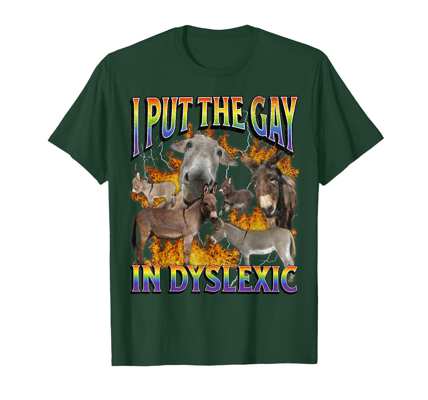 I Put The Gay In Dyslexic Funny Donkey Meme Bootleg Graphic T-Shirt
