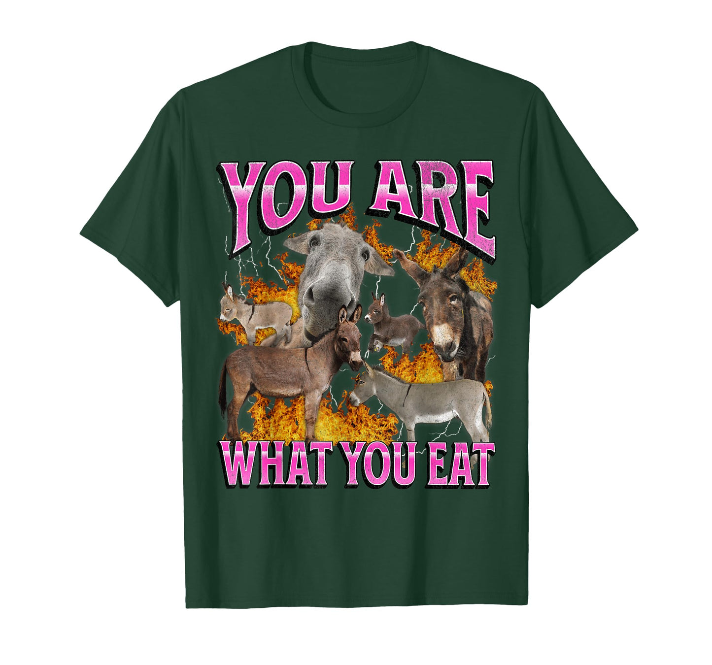 You Are What You Eat Funny Offensive Donkey Meme Bootleg T-Shirt