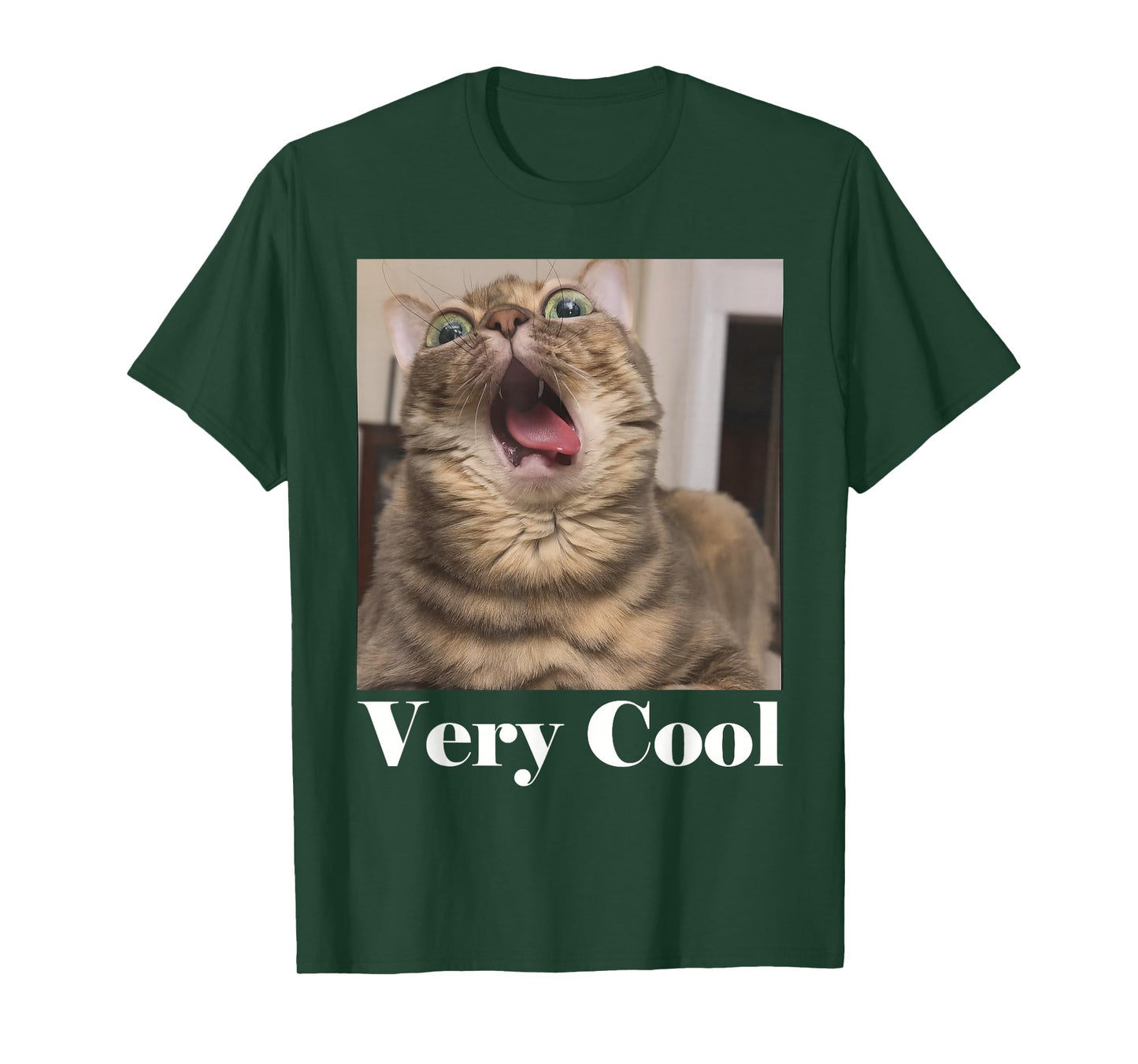 Cats Meme Graphic Silly Cat Humor Funny Cat Very Cool T-Shirt