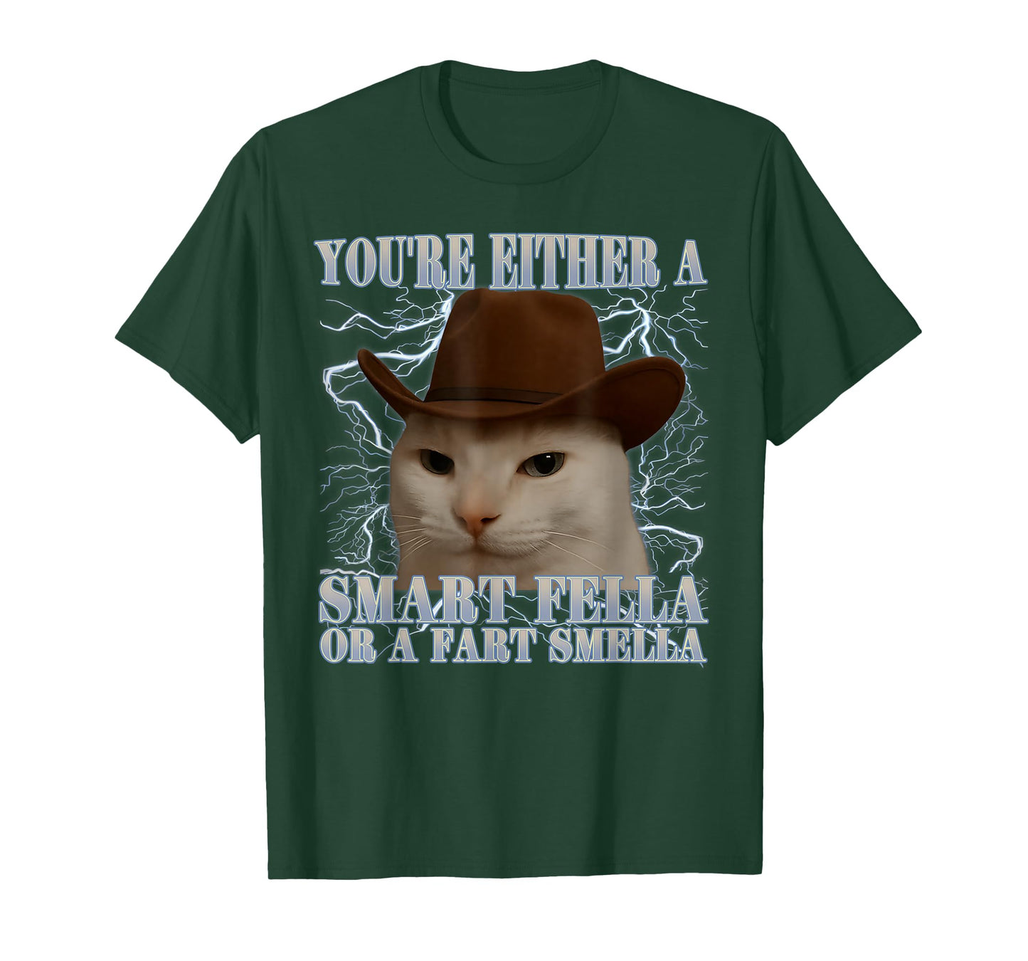 You're Either a Smart Fella or a Fart Smella Funny Cat Meme T-Shirt