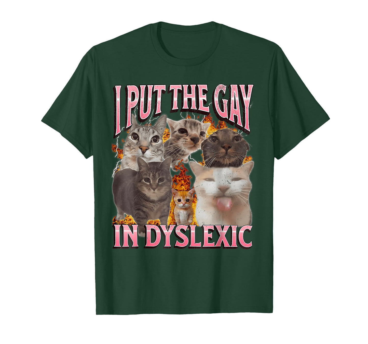 I Put The Gay in Dyslexic Funny Cat Meme Bootleg Graphic T-Shirt