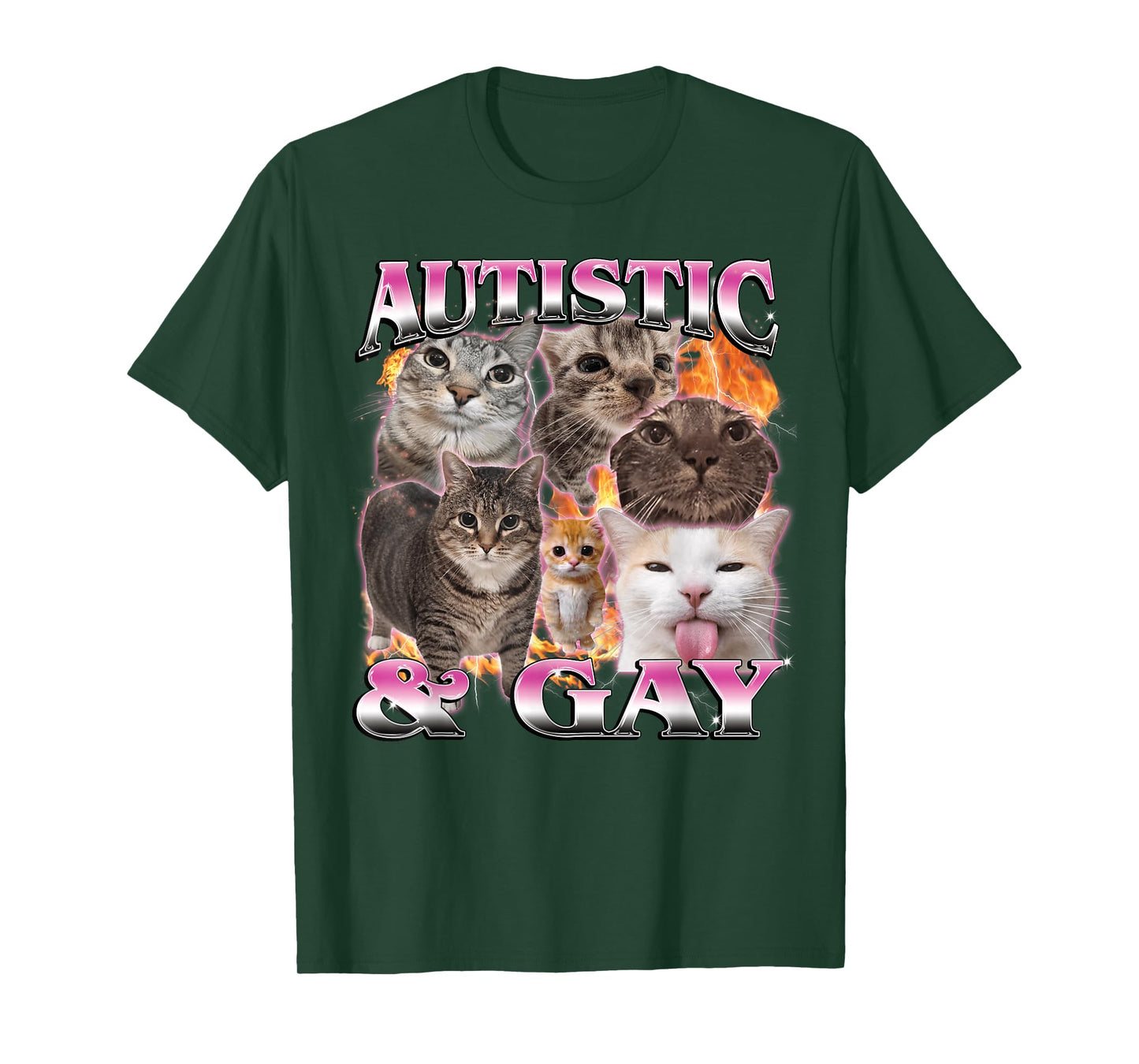 Autistic and Gay Funny Cat Meme Bootleg for Men Women T-Shirt