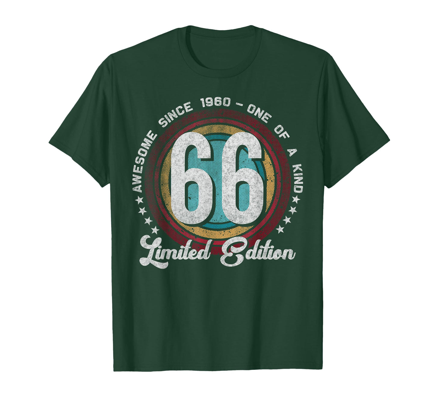 66 Year Old Gifts Vintage 1960 Limited Edition 66th Birthday T-Shirt