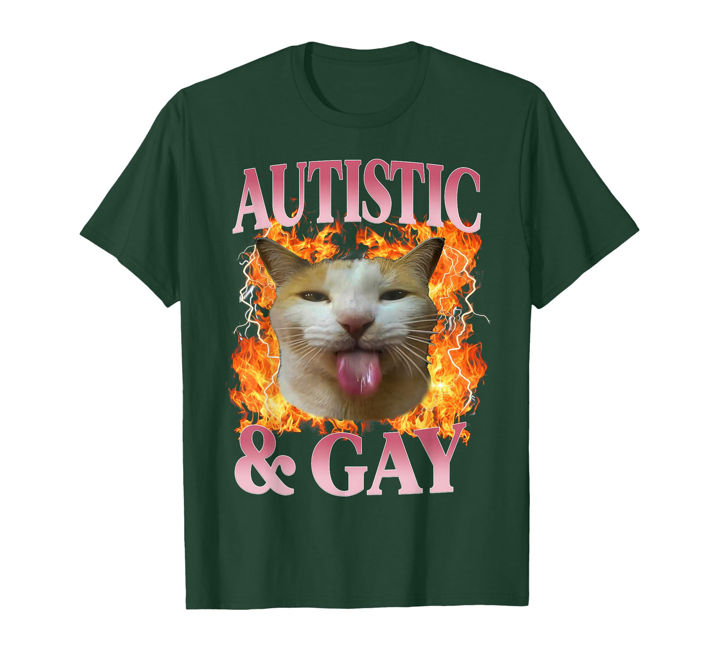 Funny Cat Humor Saying Autistic and Gay Cat Meme Quote T-Shirt