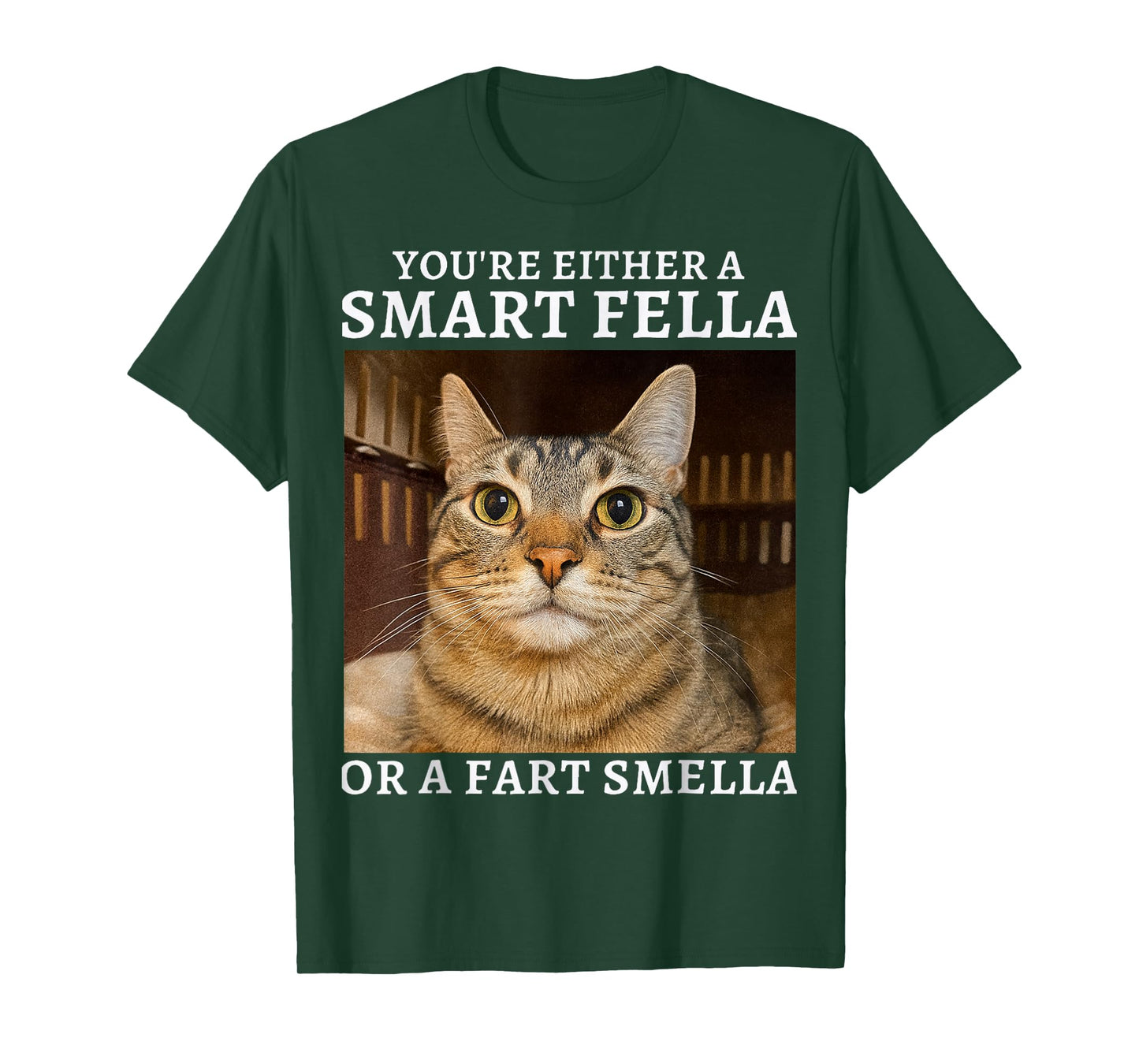 You're Either a Smart Fella or a Fart Smella Funny Cat Humor T-Shirt