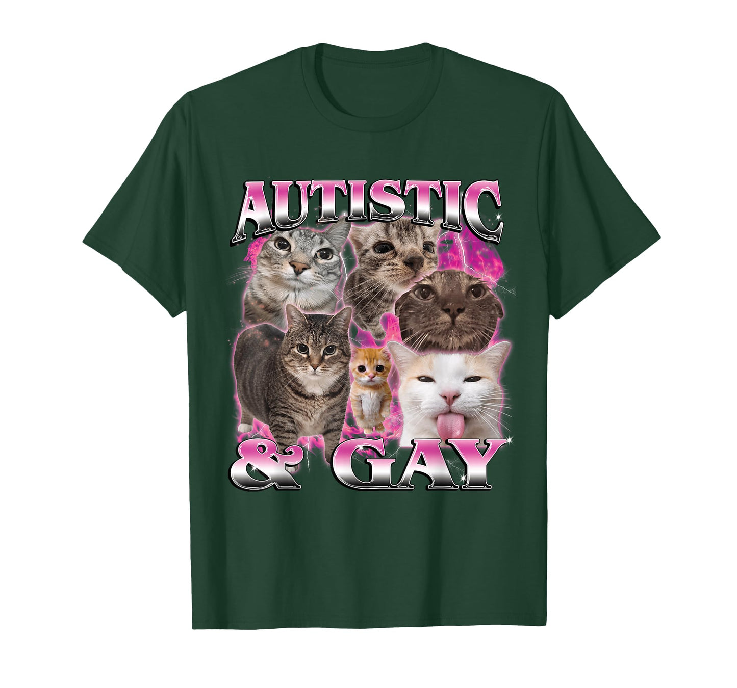 Autistic and Gay Funny Stupid Dank Cat Meme Bootleg Graphic T-Shirt