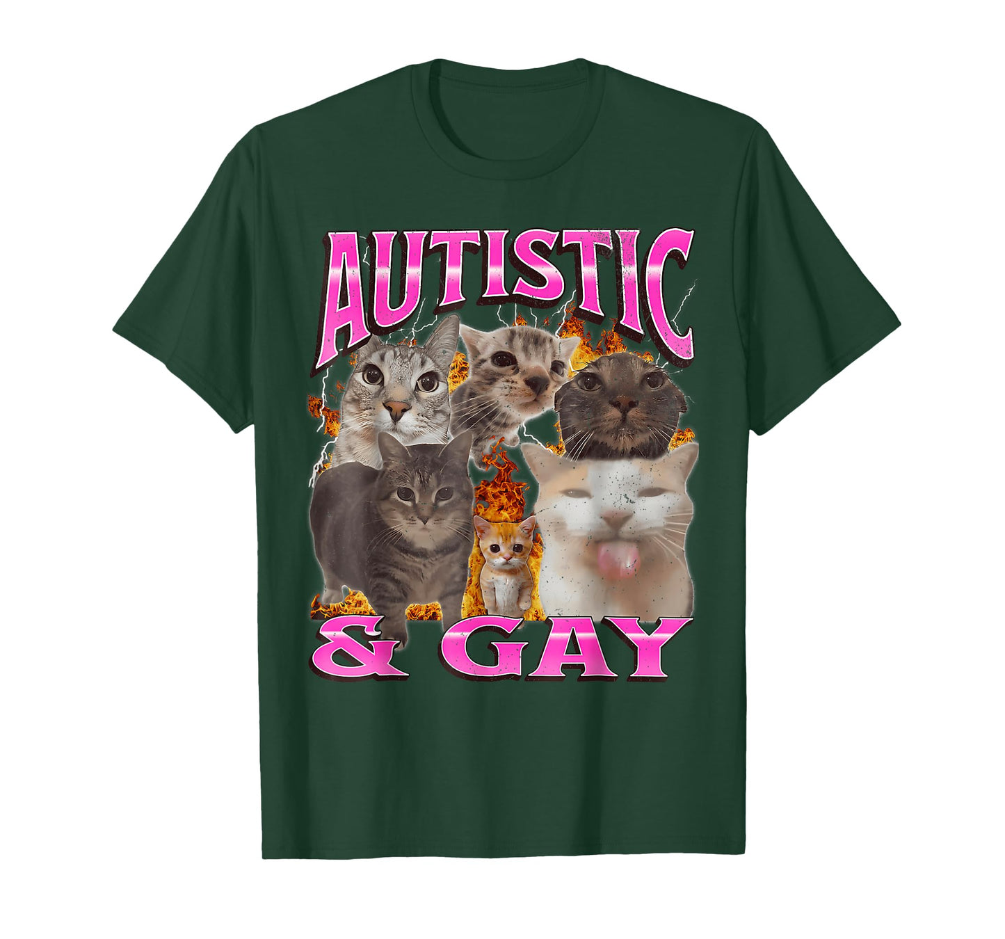 Autistic and Gay Funny Cat Meme Bootleg Graphic T Shirt T-Shirt