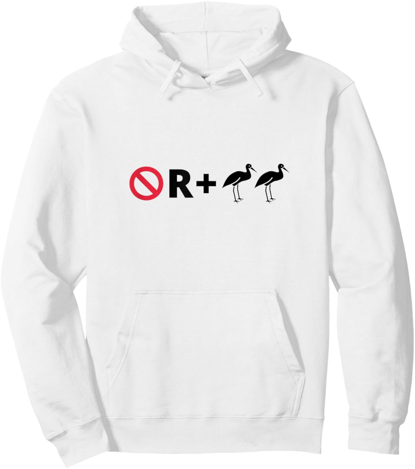 No R + Egrets Funny Pictogram Puzzle Pictograph Humor Hoodie - Hoodie | White
