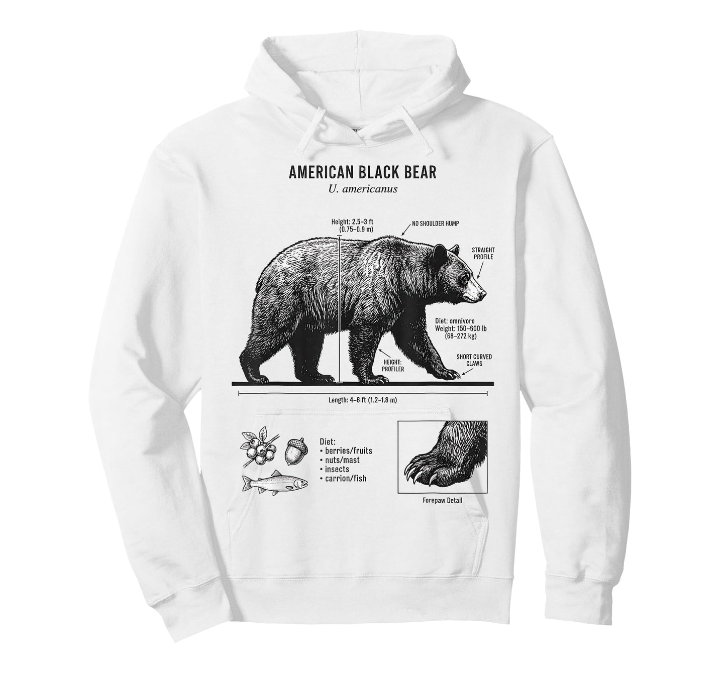 American Black Bear Anatomy Illustration for Nature Lovers T-Shirt