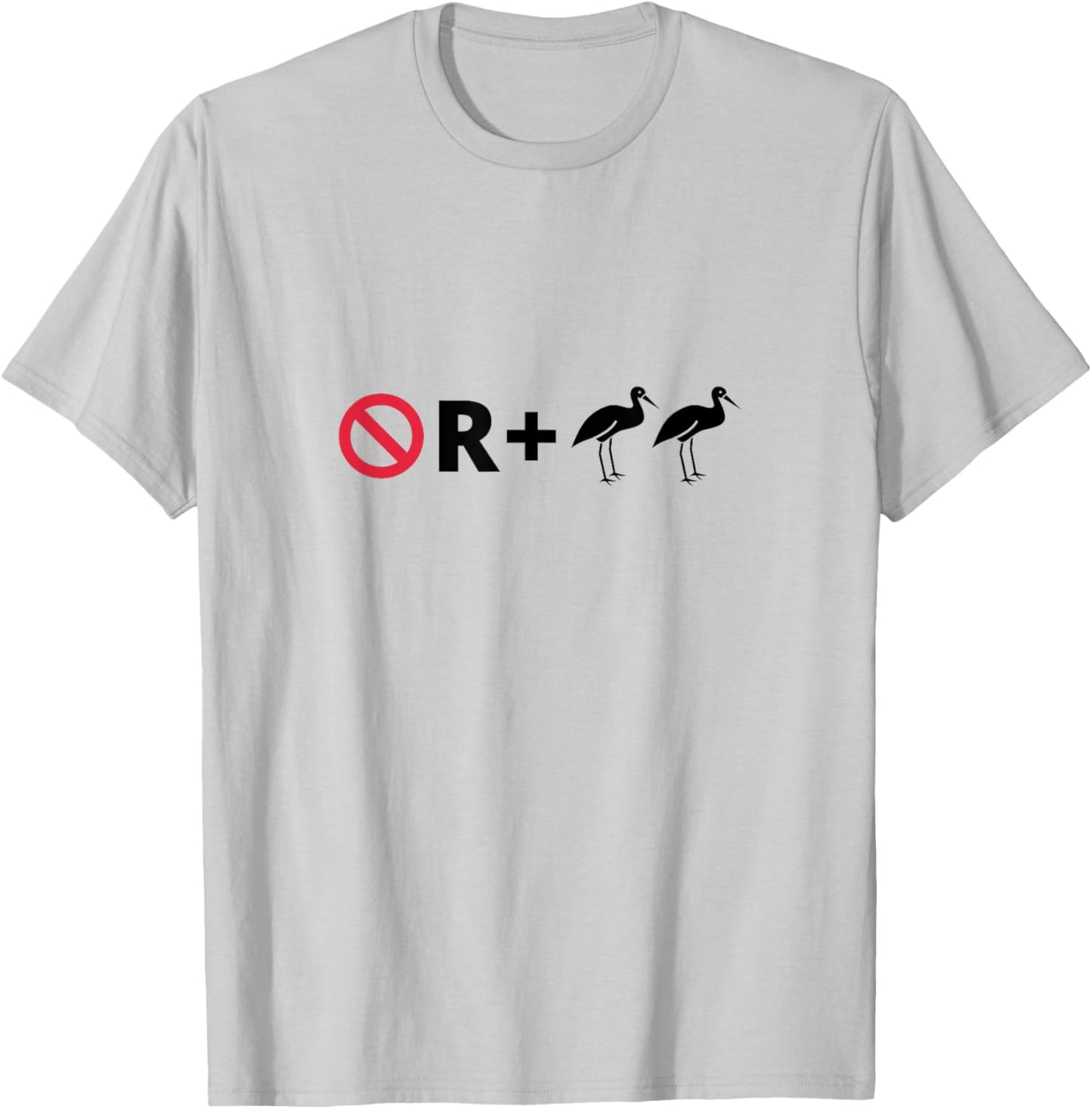 No R + Egrets Funny Pictogram Puzzle Pictograph Humor T-Shirt - T-Shirt | Ash