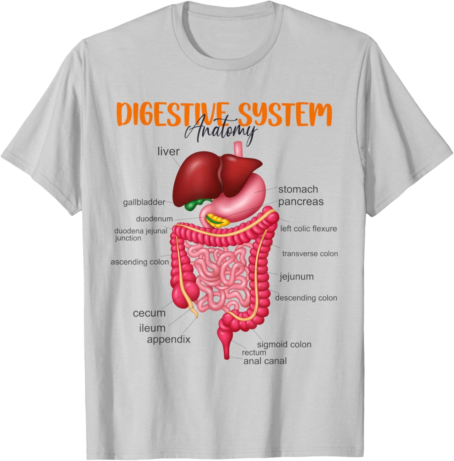 Funny Digestive System Anatomy Anatomical Biology Teacher Women T-Shirt - T-Shirt | Ash