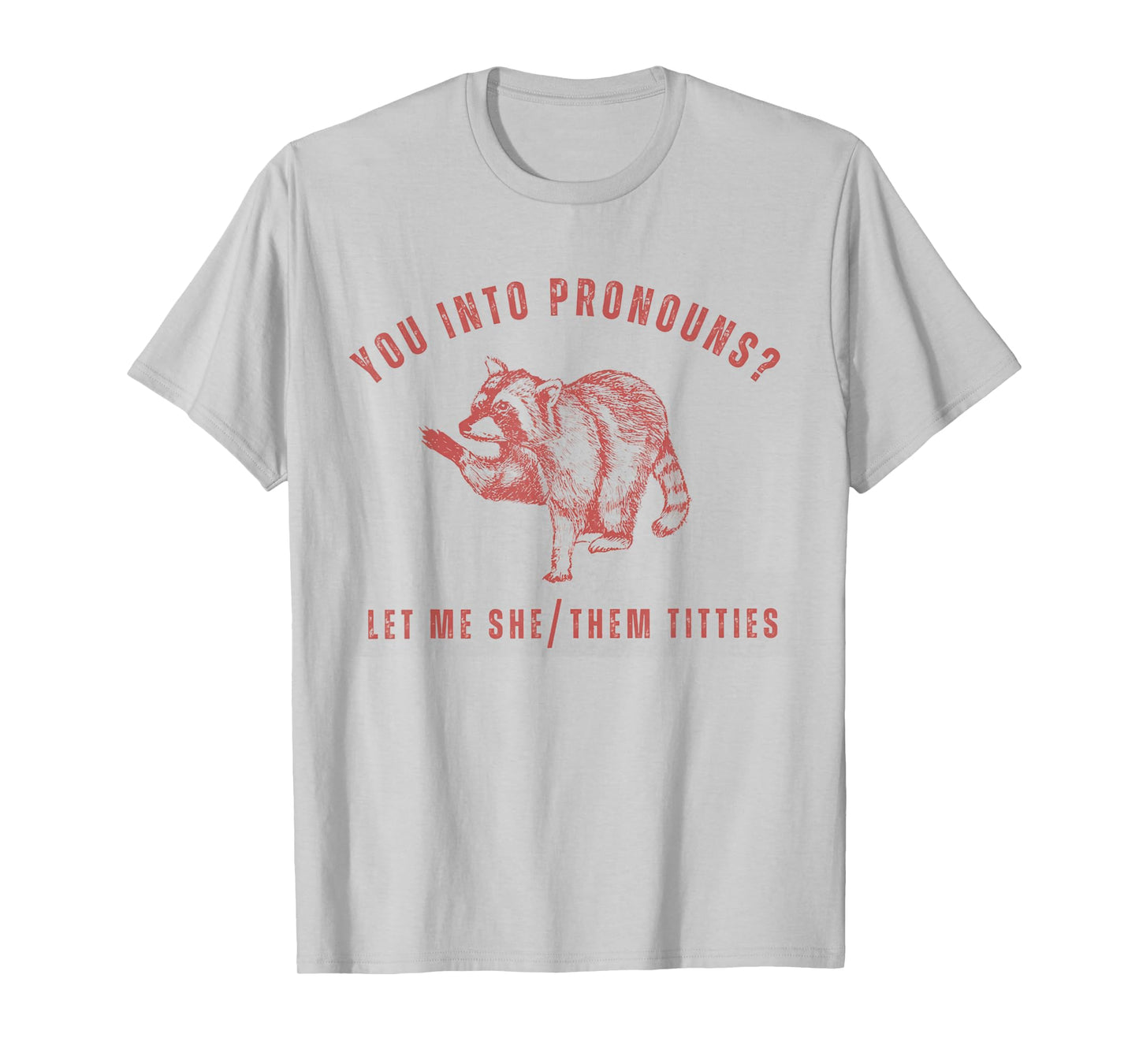 Retro Racoon You Into Pronouns Let Me She Them Titties T-Shirt