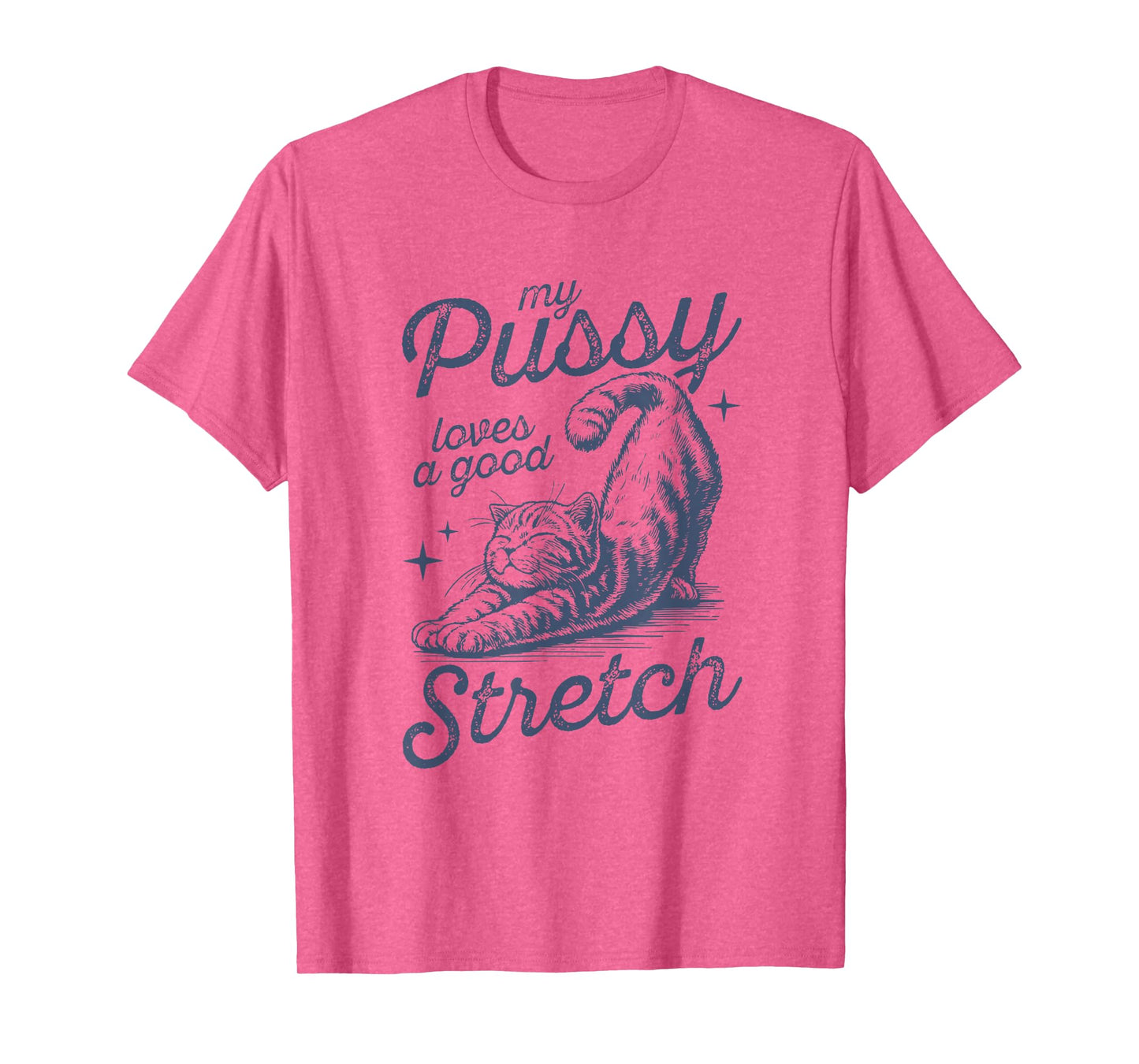 My Pussy Loves A Good Stretch Funny Meme T-Shirt