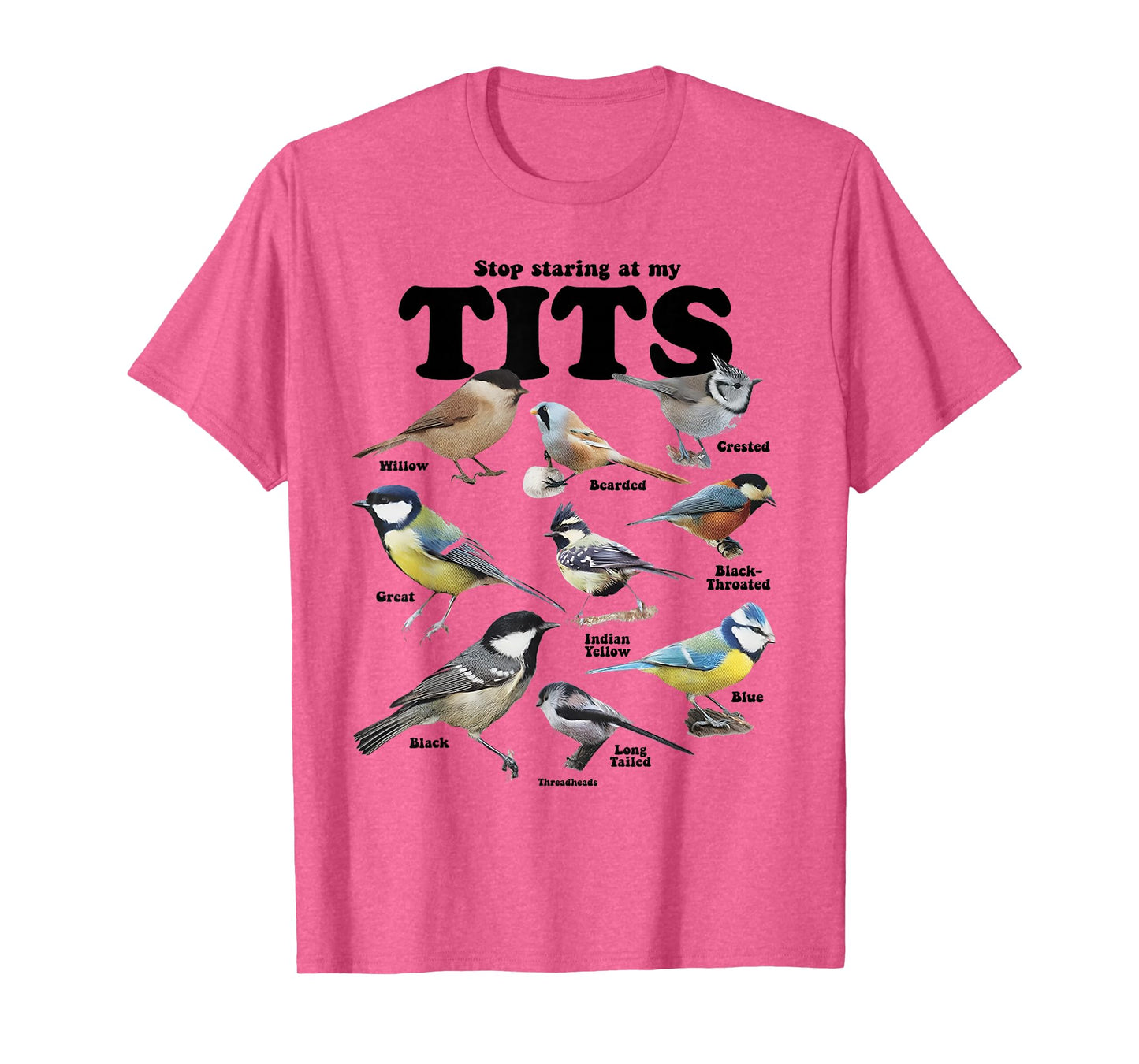 Stop Staring At My Tits Funny Birds Lover Saying Quote Women T-Shirt