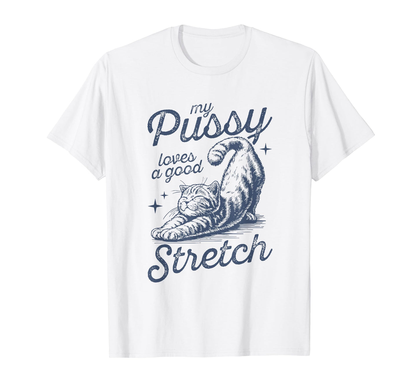 My Pussy Loves A Good Stretch Funny Meme T-Shirt