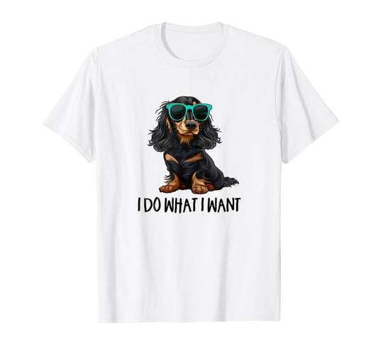Funny Do What I Want Black Long Haired Dachshund Lover T-Shirt