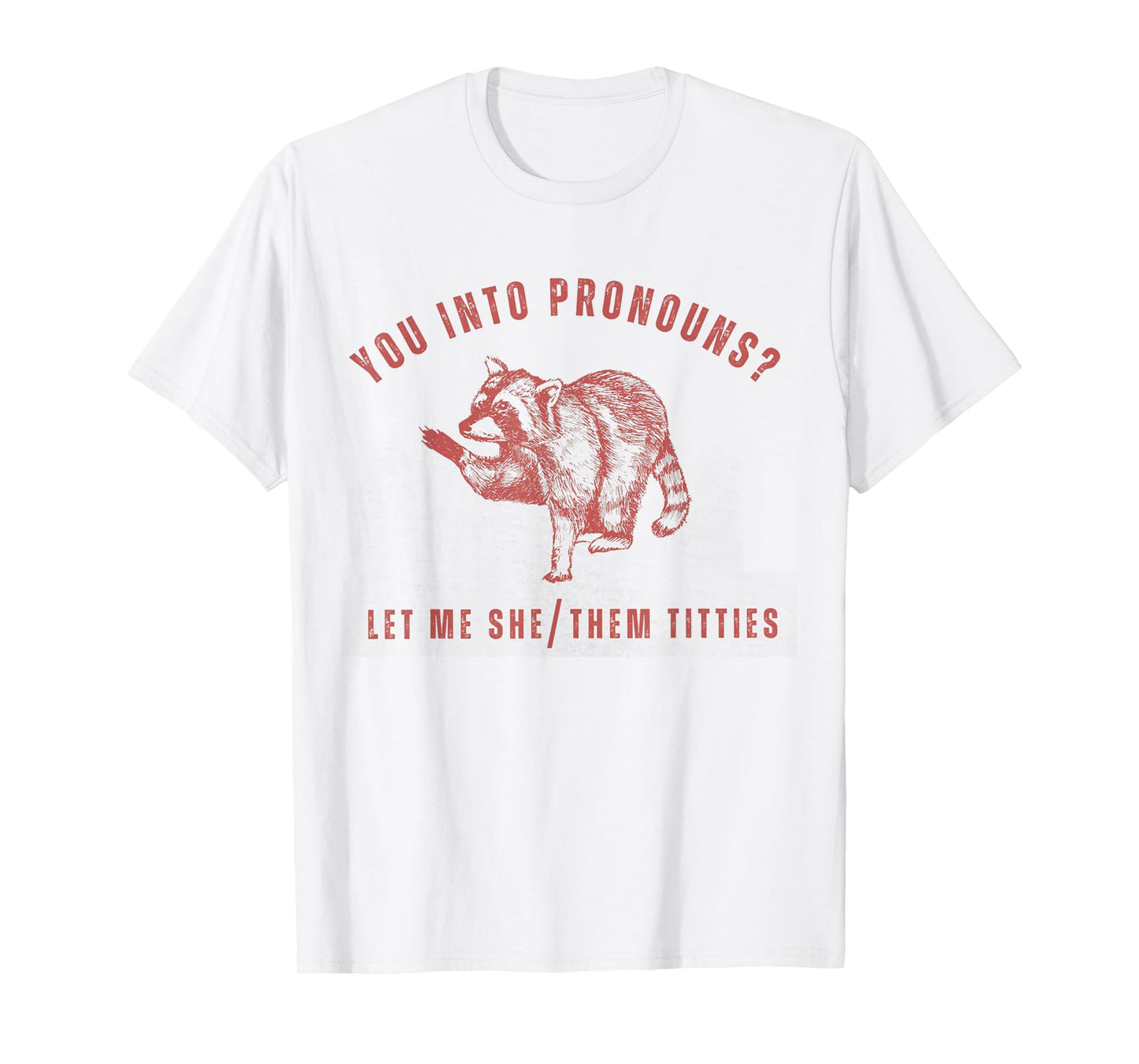 Retro Racoon You Into Pronouns Let Me She Them Titties T-Shirt