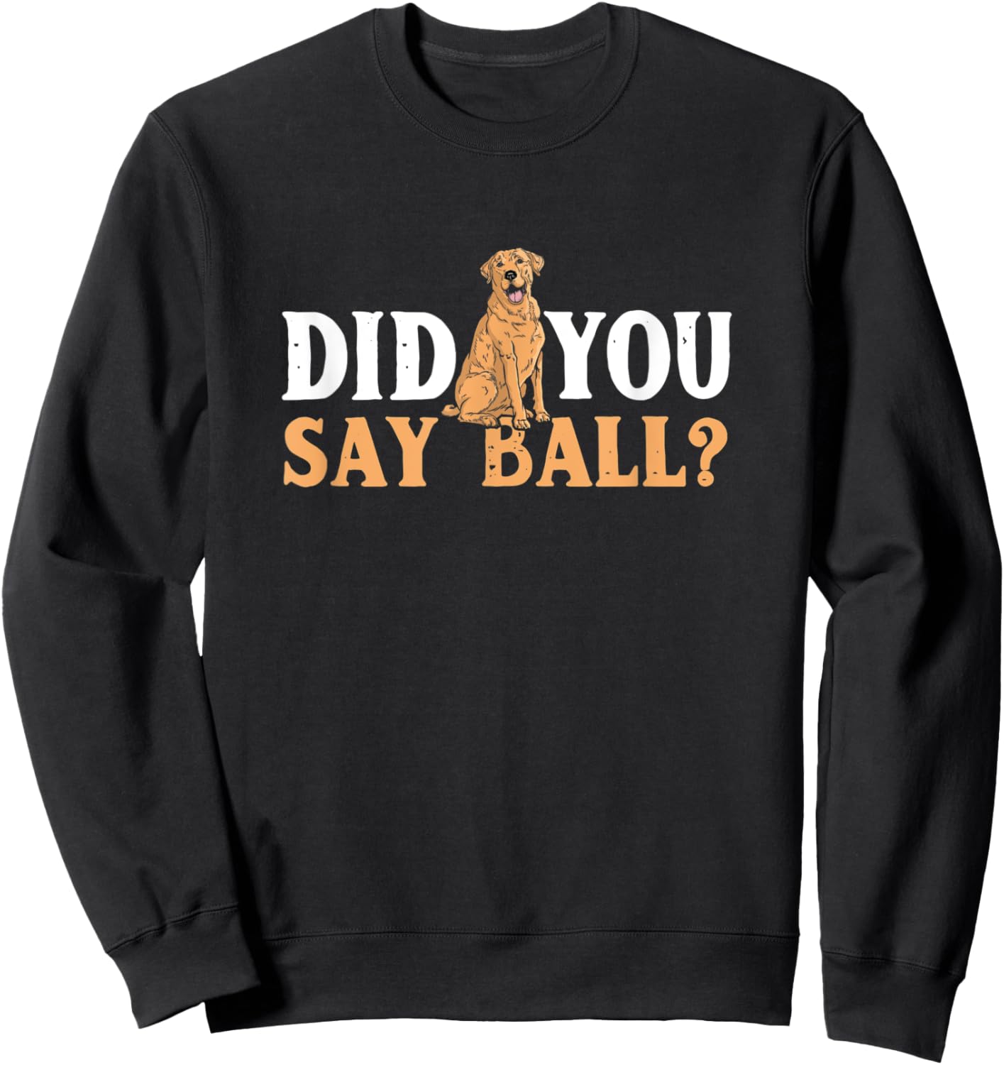 Did You Say Ball Funny Golden Retriever Labrador Sweatshirt - Sweatshirt | Black