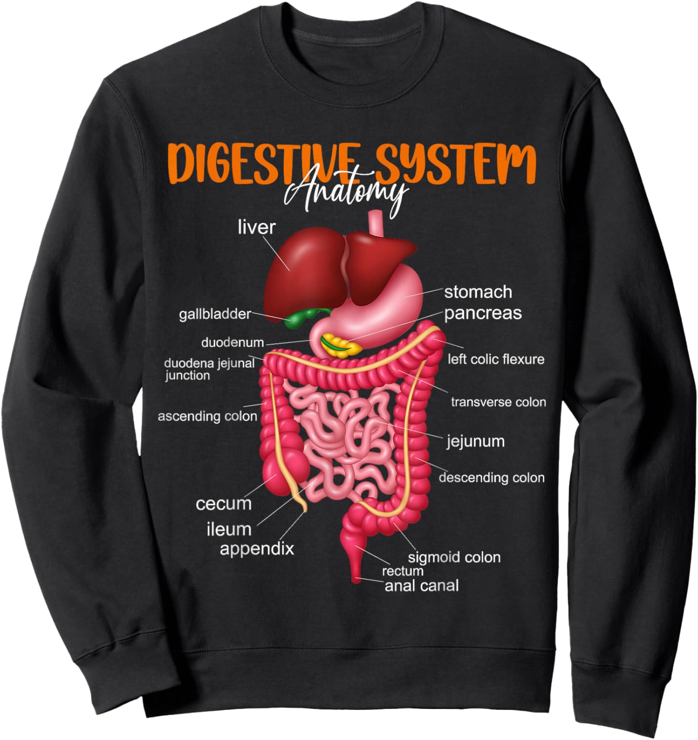 Funny Digestive System Anatomy Anatomical Biology Teacher Sweatshirt - Sweatshirt | Black