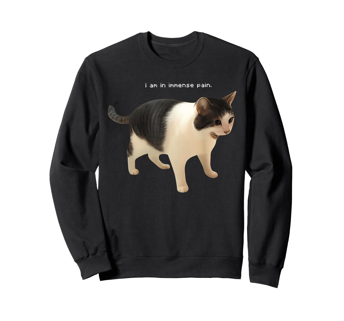 I Am in Immense Pain Funny Cat Meme Quote T-Shirt